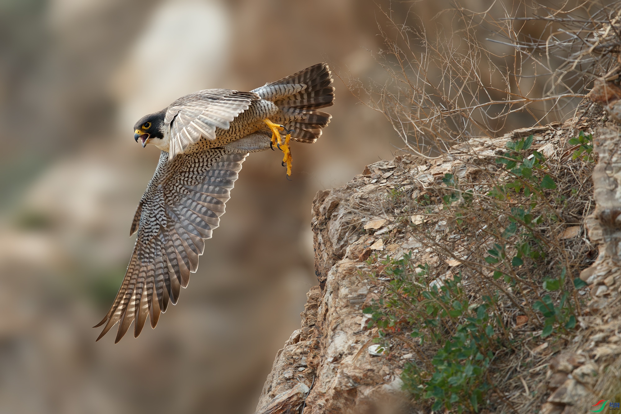 AQ9I8585-����ǿ-NR ����.jpg