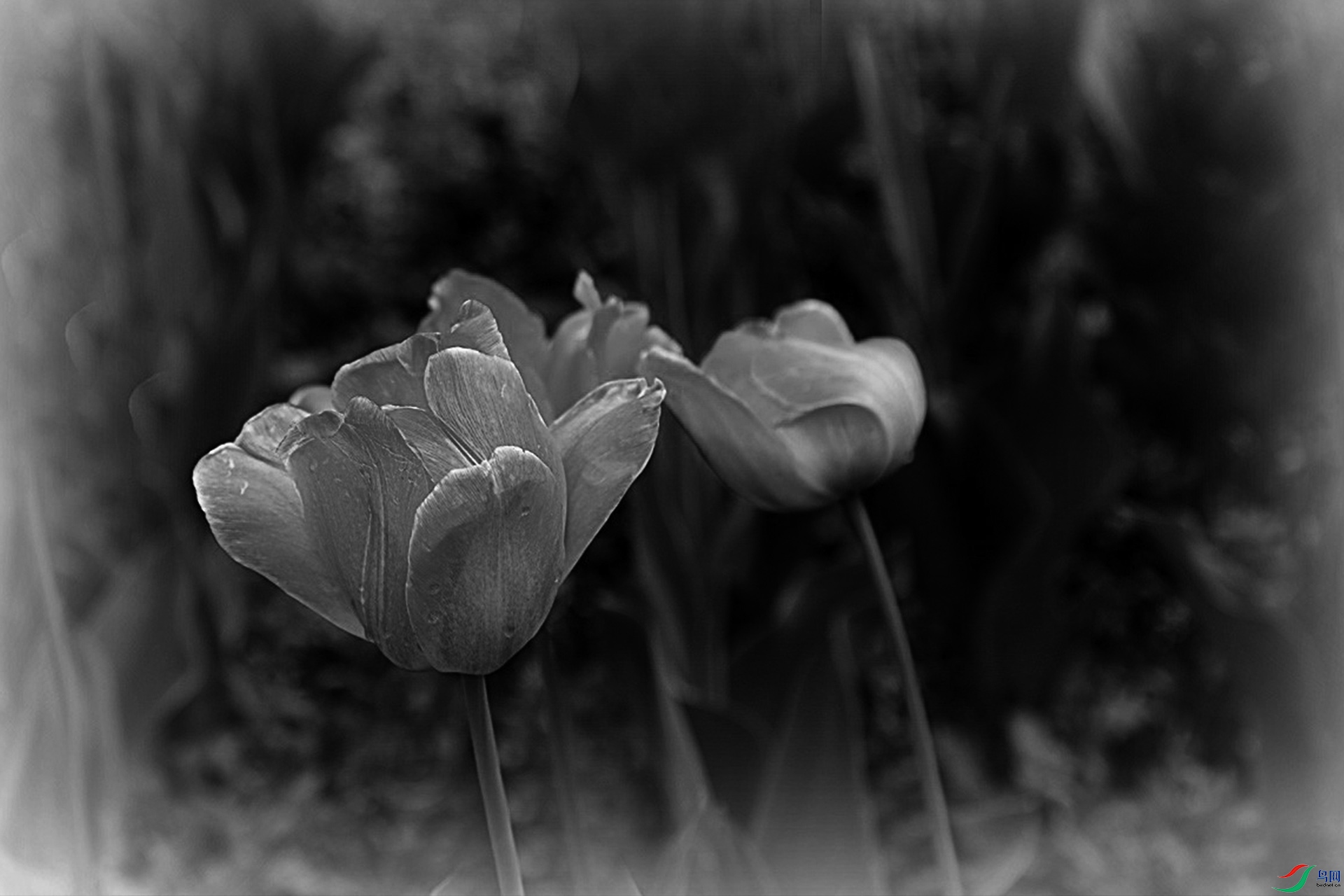 IMG_2575.jpg