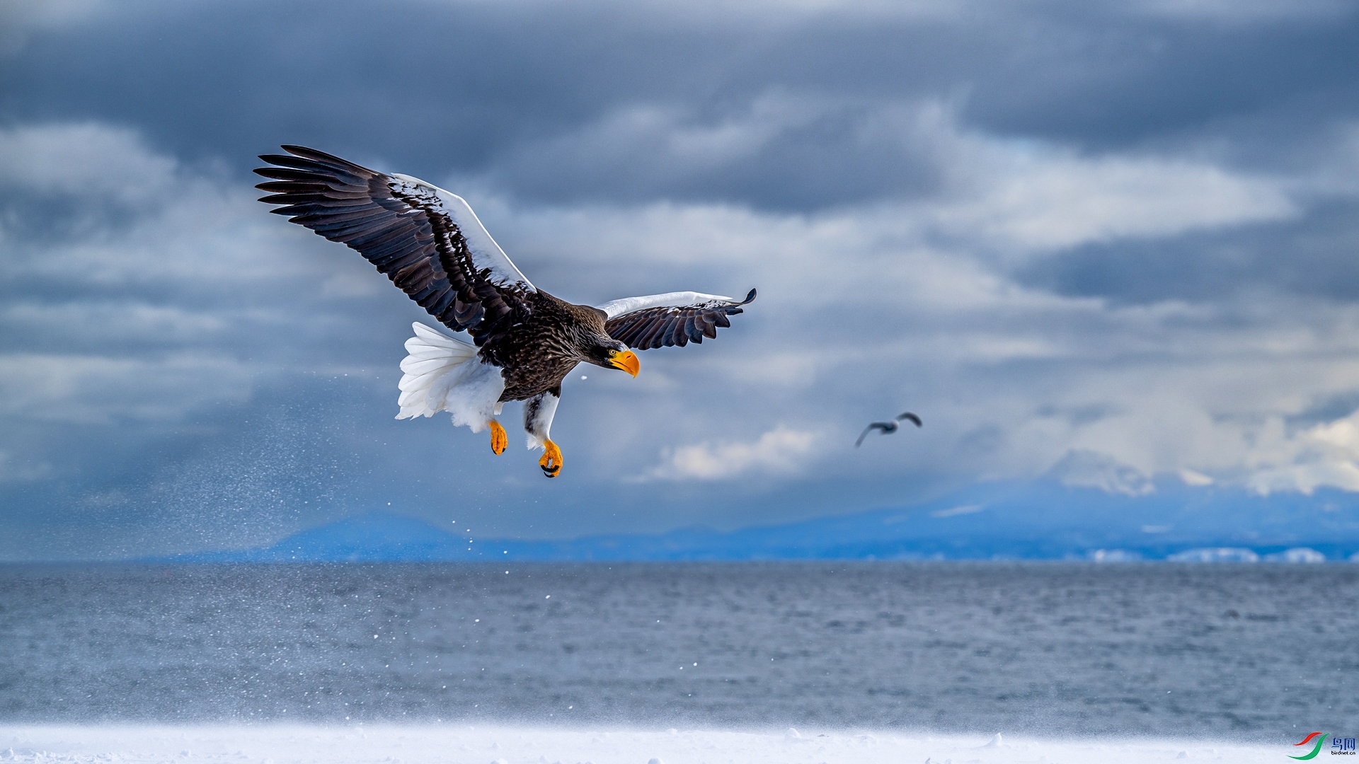 _DSC2652-1w.jpg
