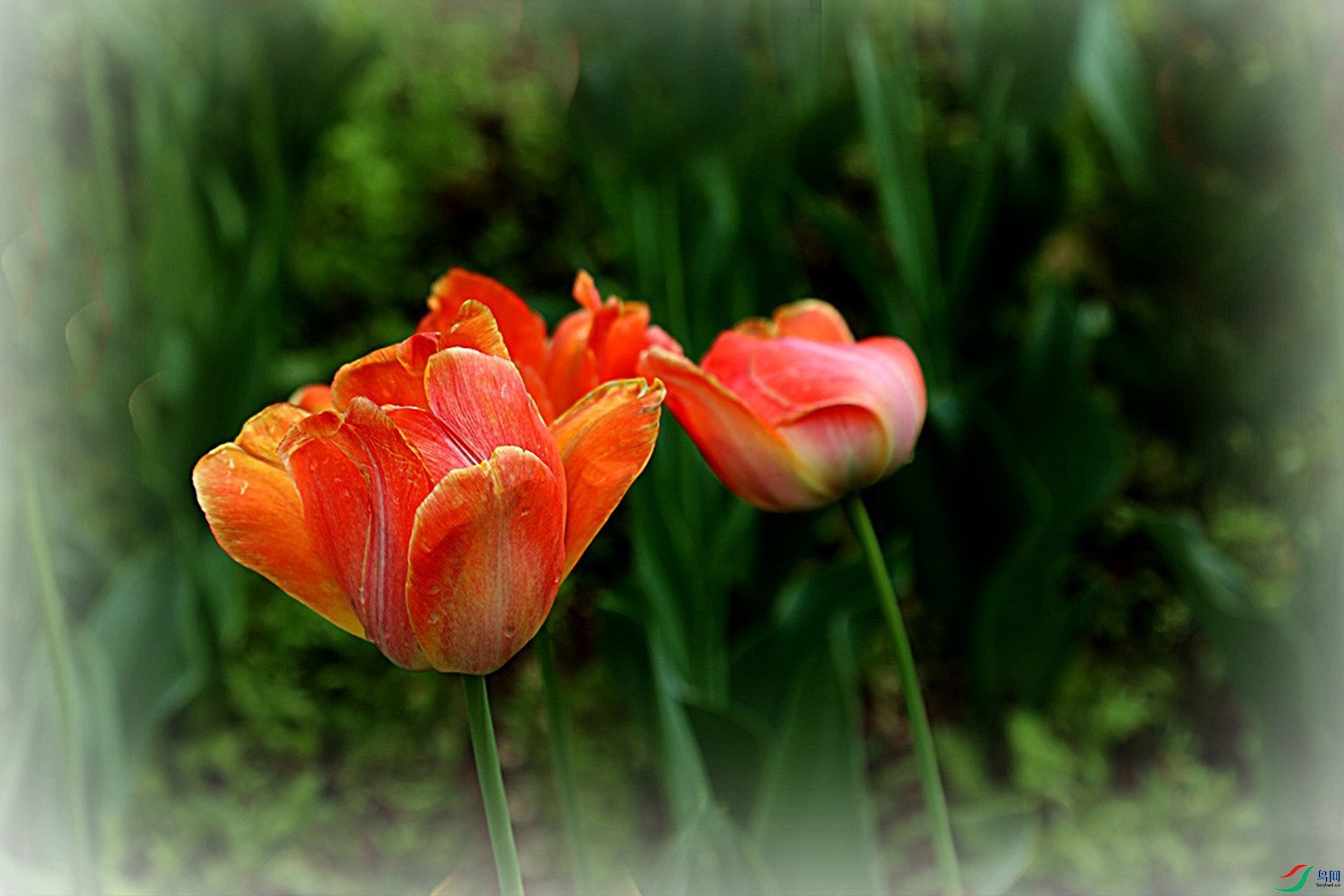 IMG_2575.jpg
