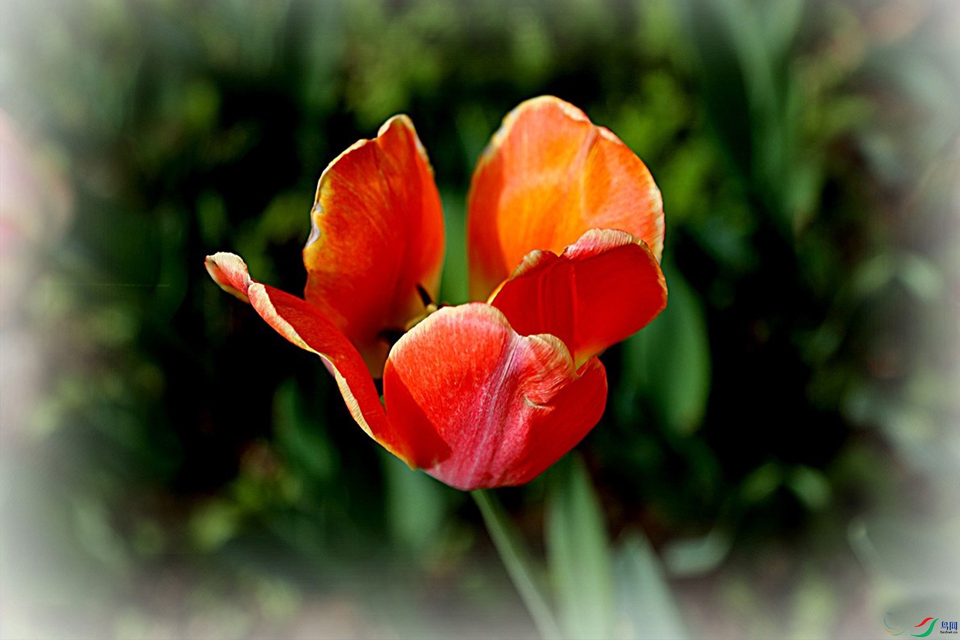 IMG_2576.jpg