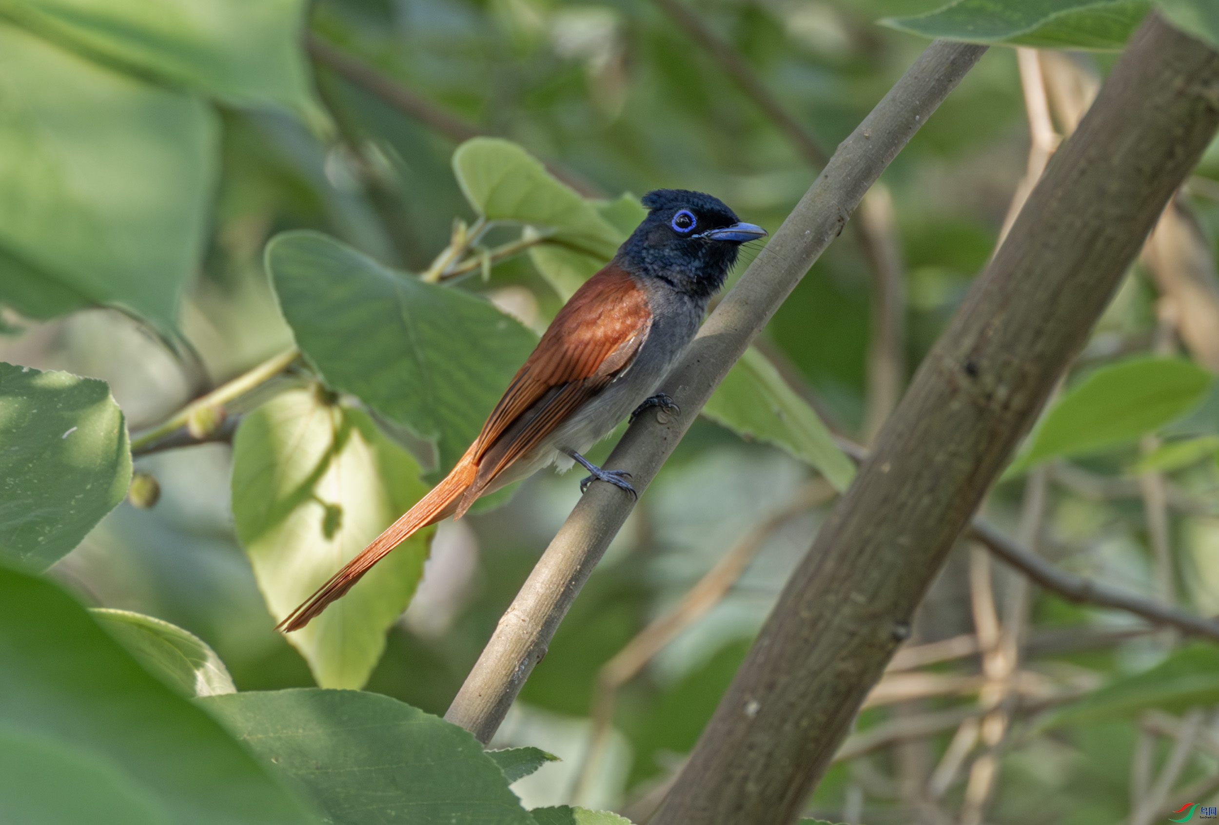 2I1A8254-����ǿ-NR ����.jpg