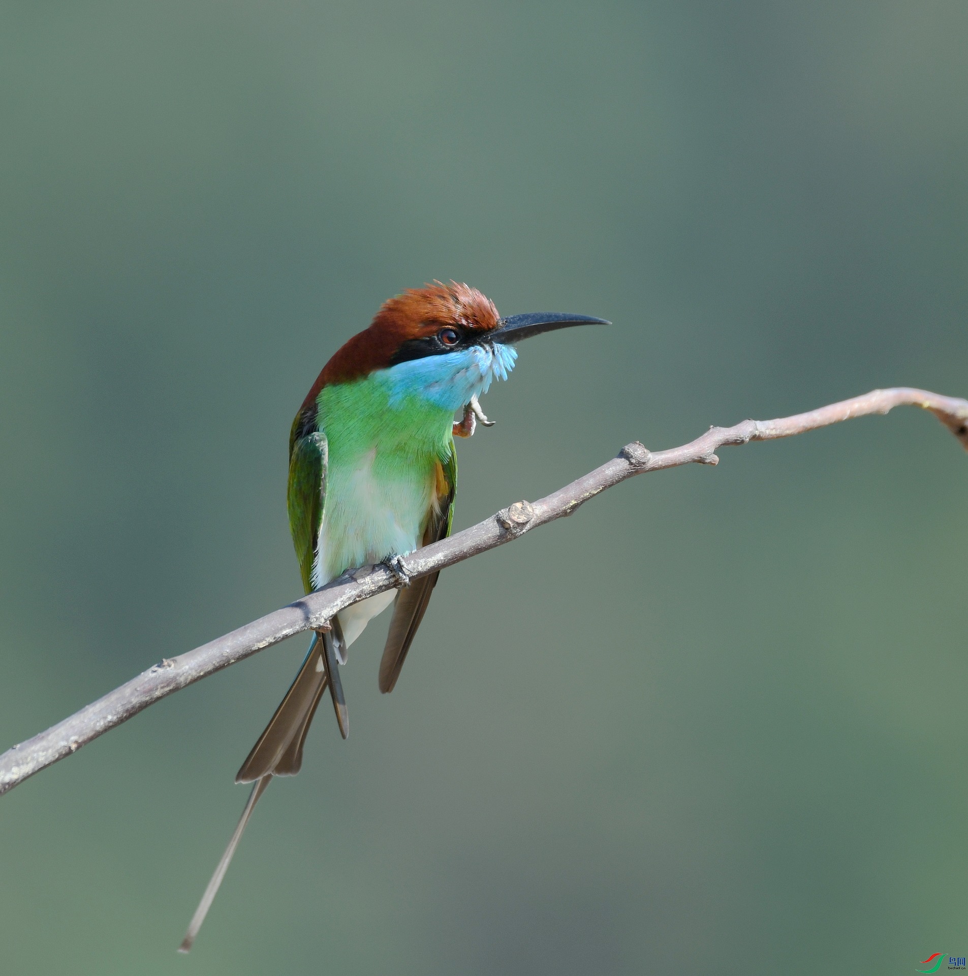 DSC_1110.jpg
