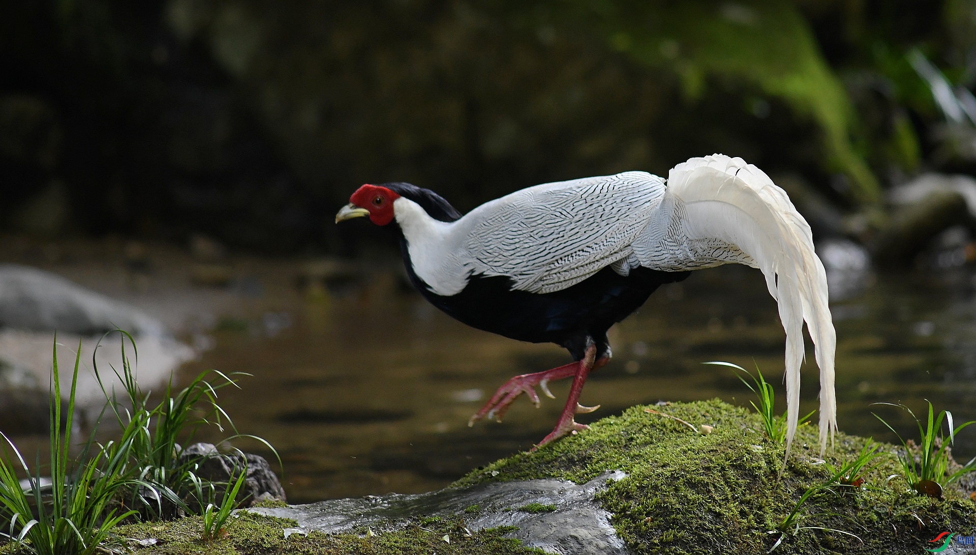 DSC_2761.jpg
