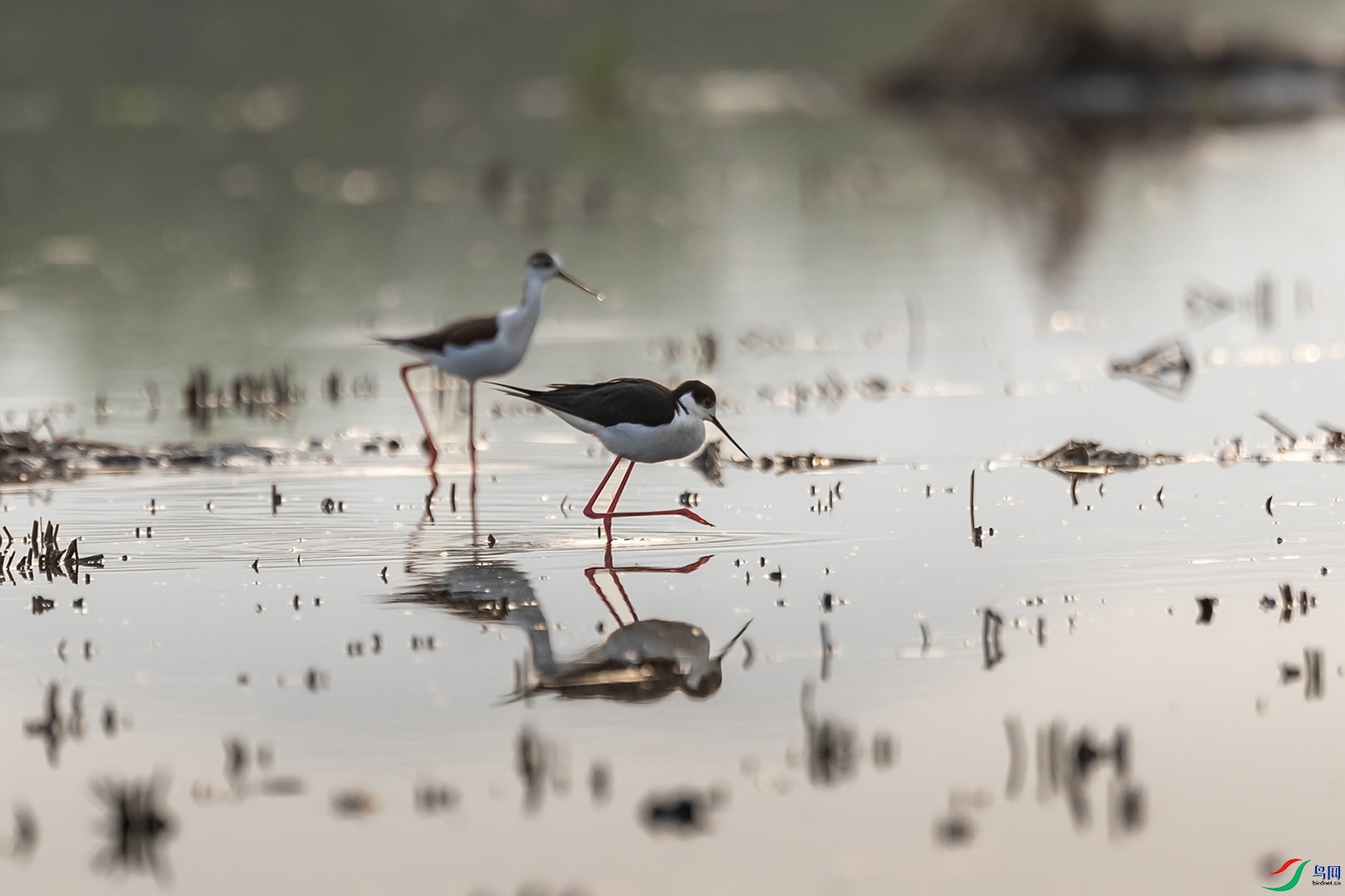 A63I9618 ���� 2.jpg