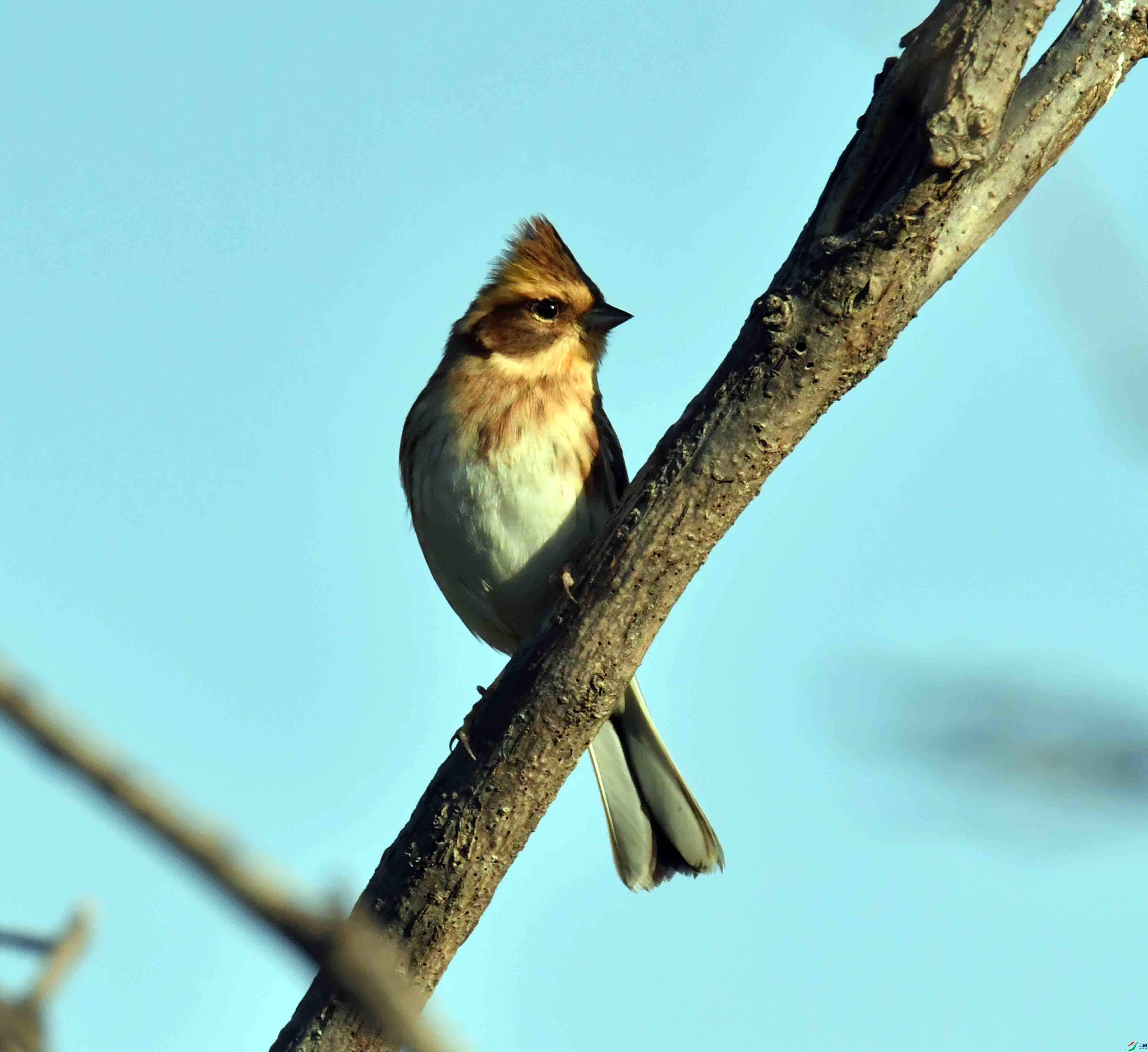 DSC_3876.JPG
