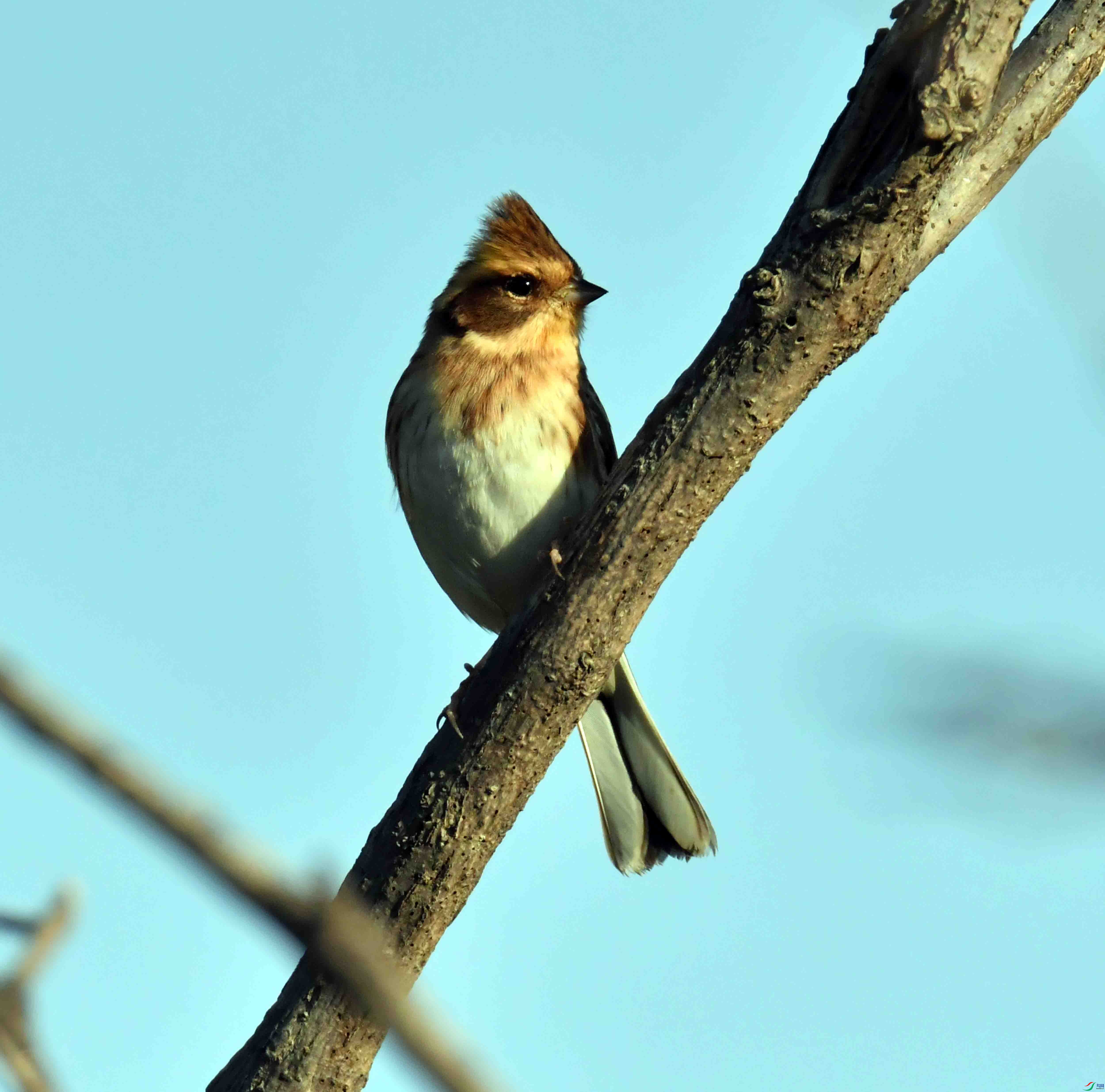 DSC_3878.JPG