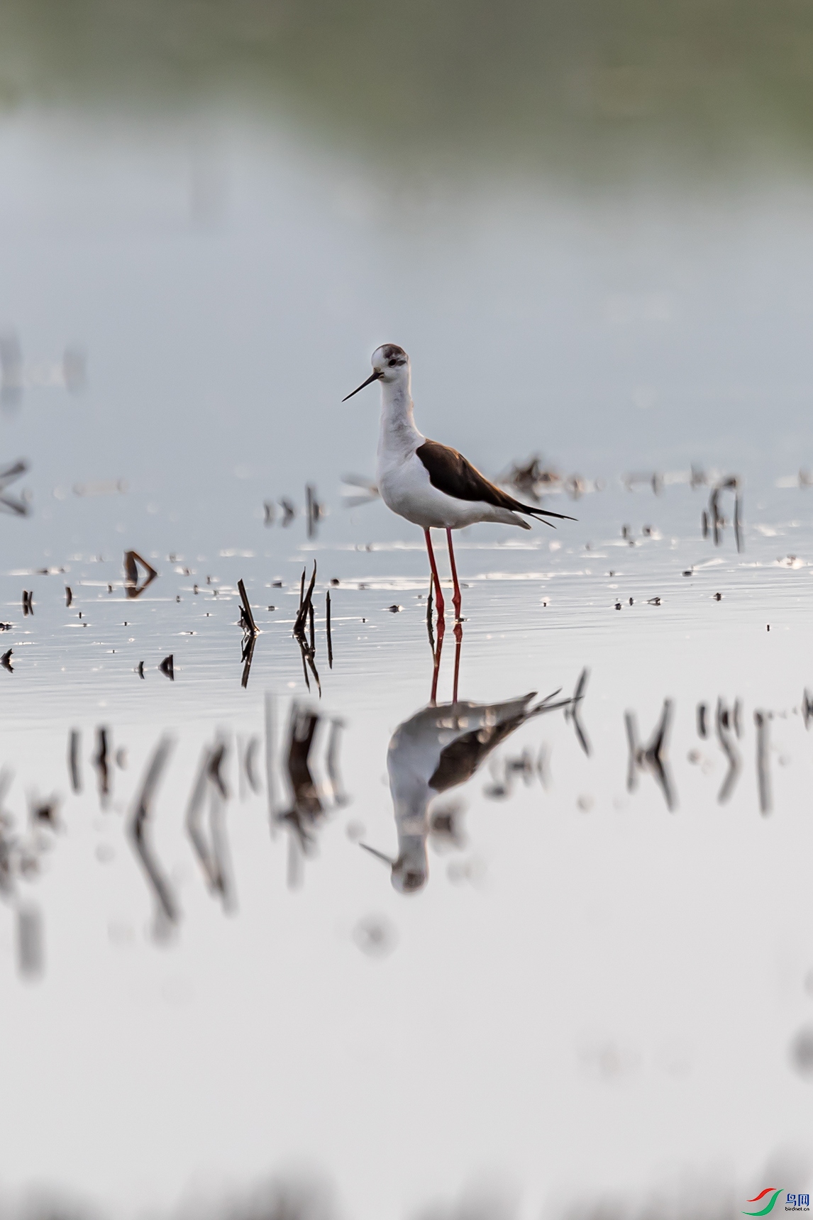 A63I9816 ����.jpg