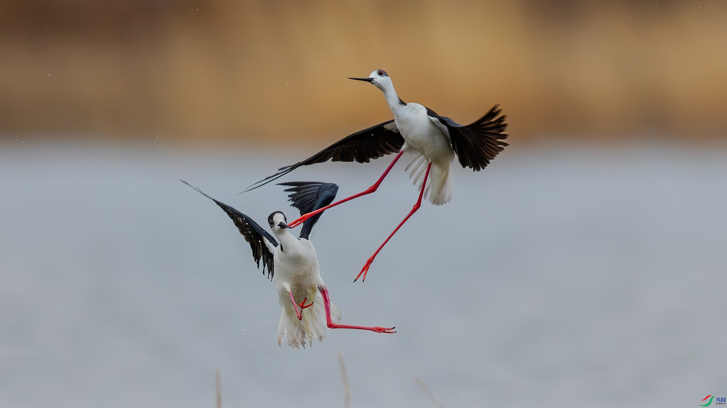 045A6966-1��.jpg