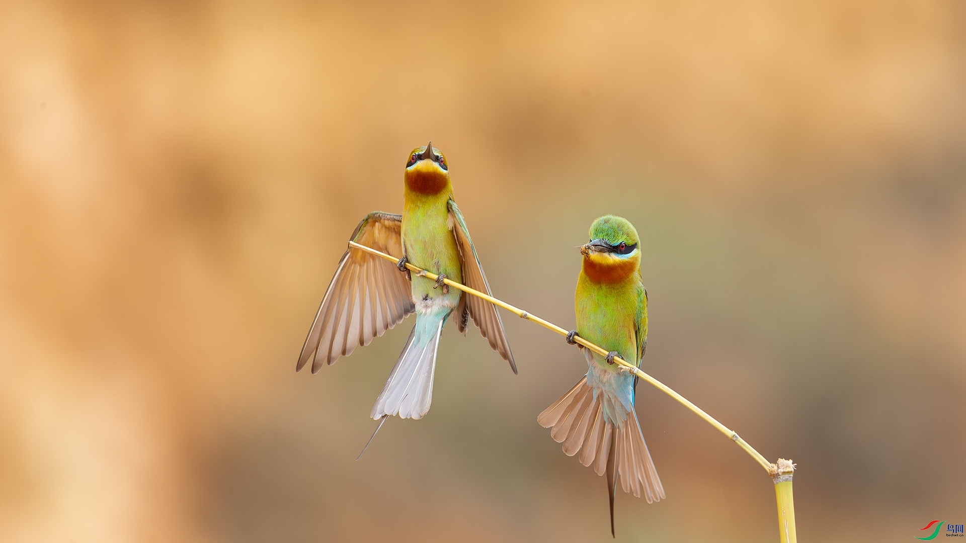 _FQ_9539-����ǿ-NR.jpg