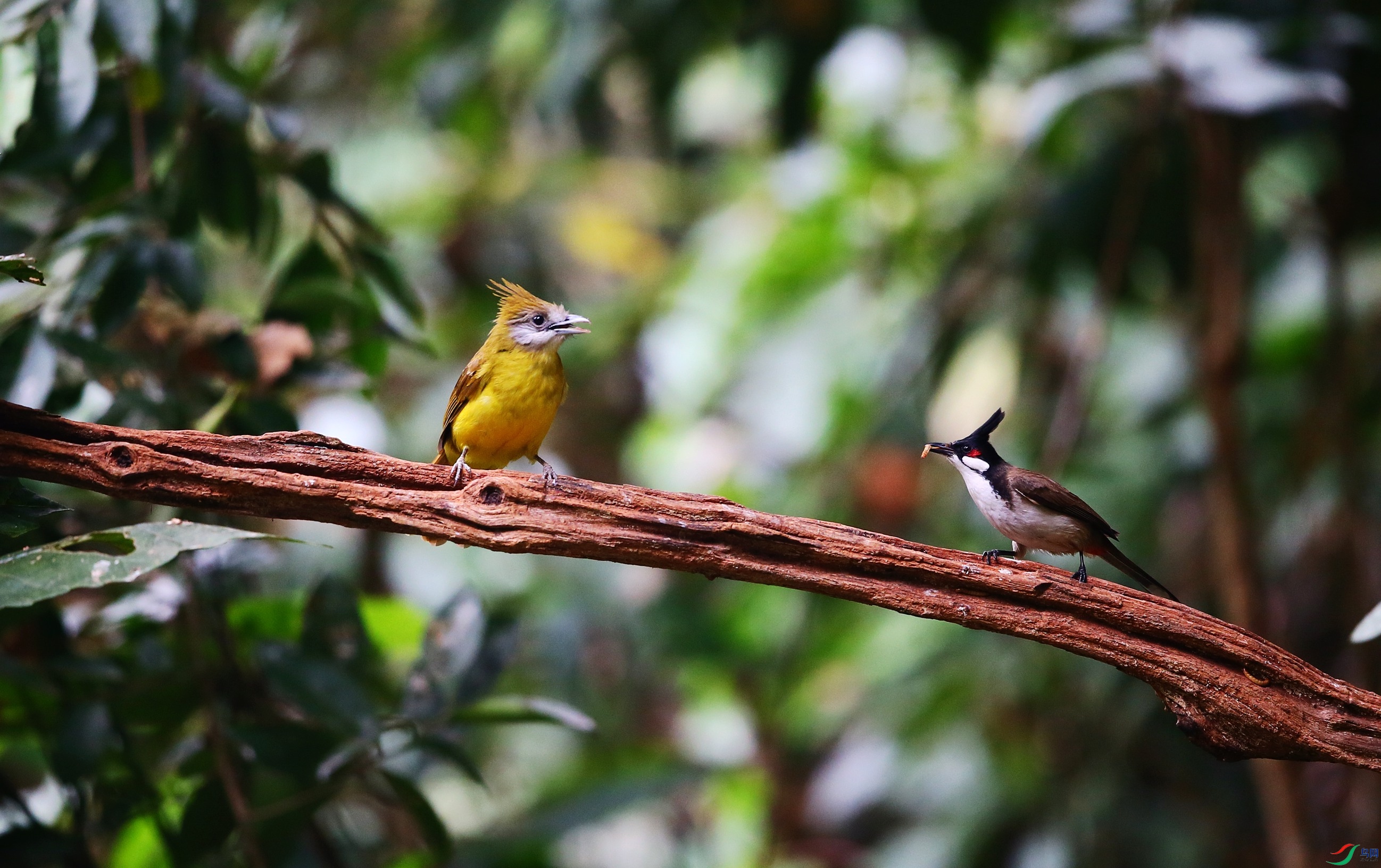 �Ƹ����� (10).JPG