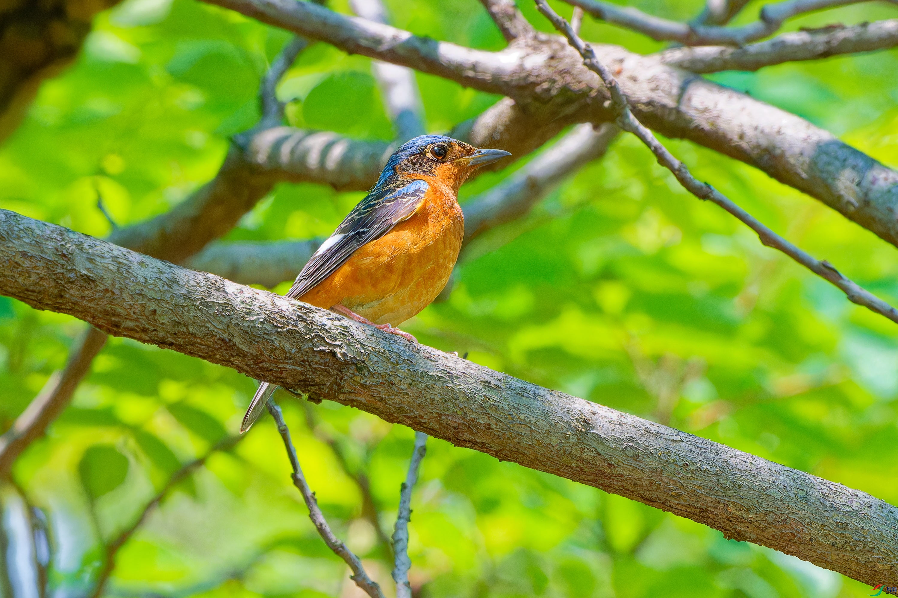 DSC_0160.jpg