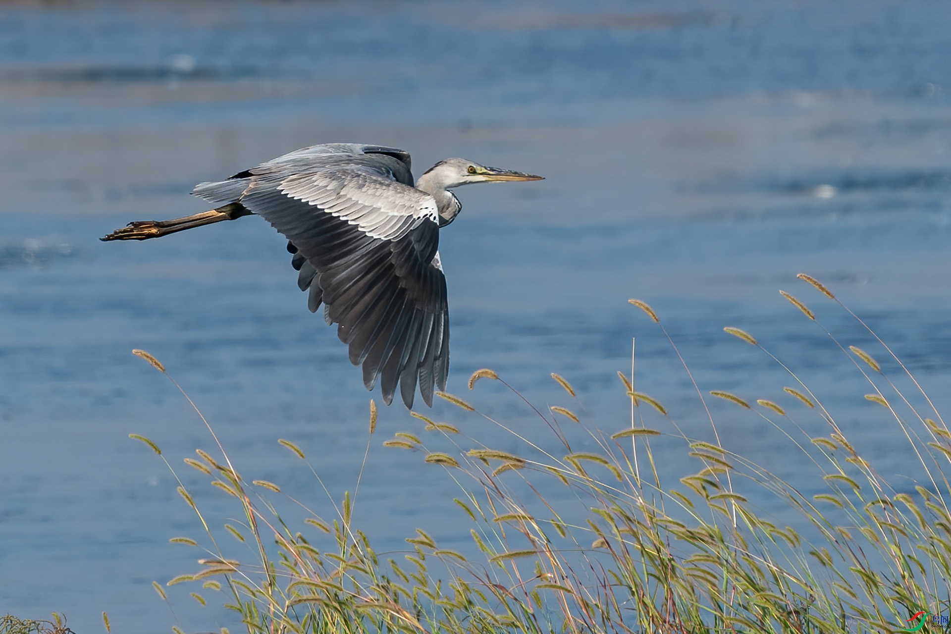 _DSC3164 ����.jpg