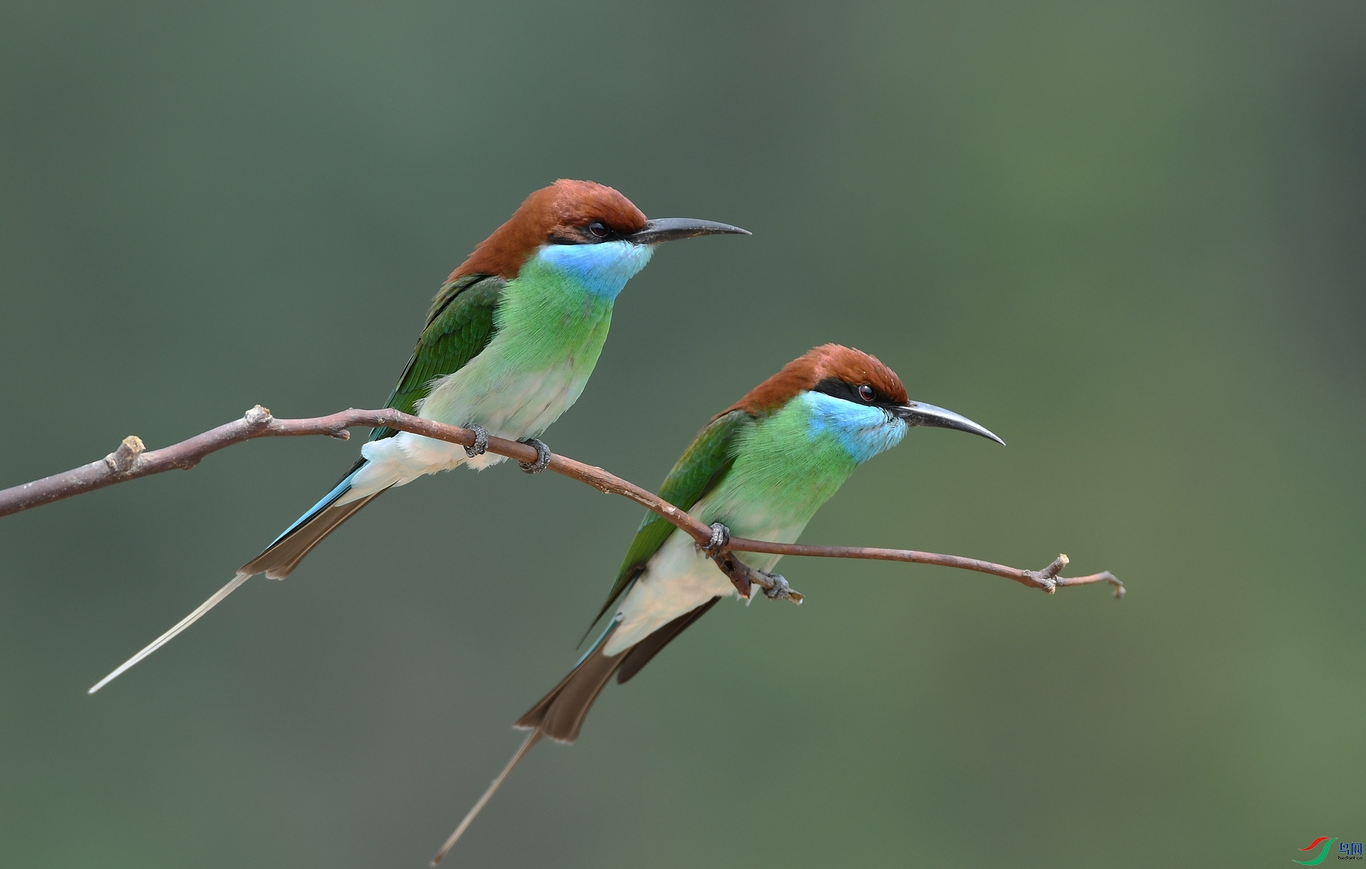 DSC_2228.jpg
