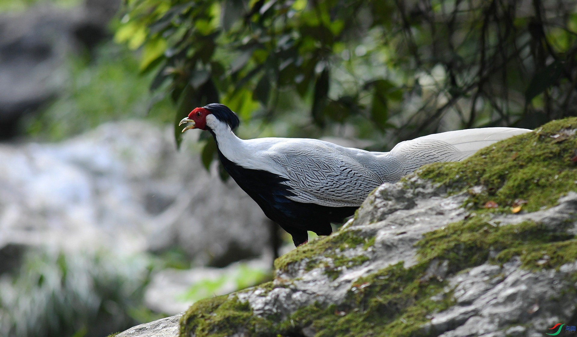 DSC_6712.jpg
