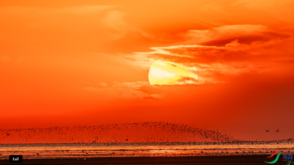 Ϧ�����ˣ��ٻ���Ӱʦ�������ɸ��� 16.png