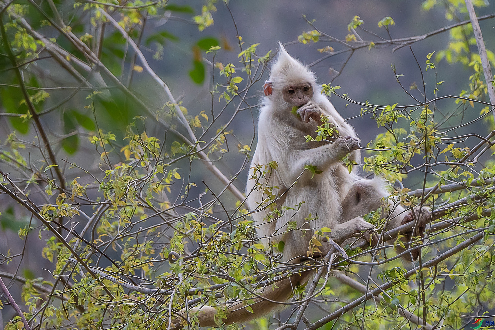 DSC05891 ����a ����.jpg