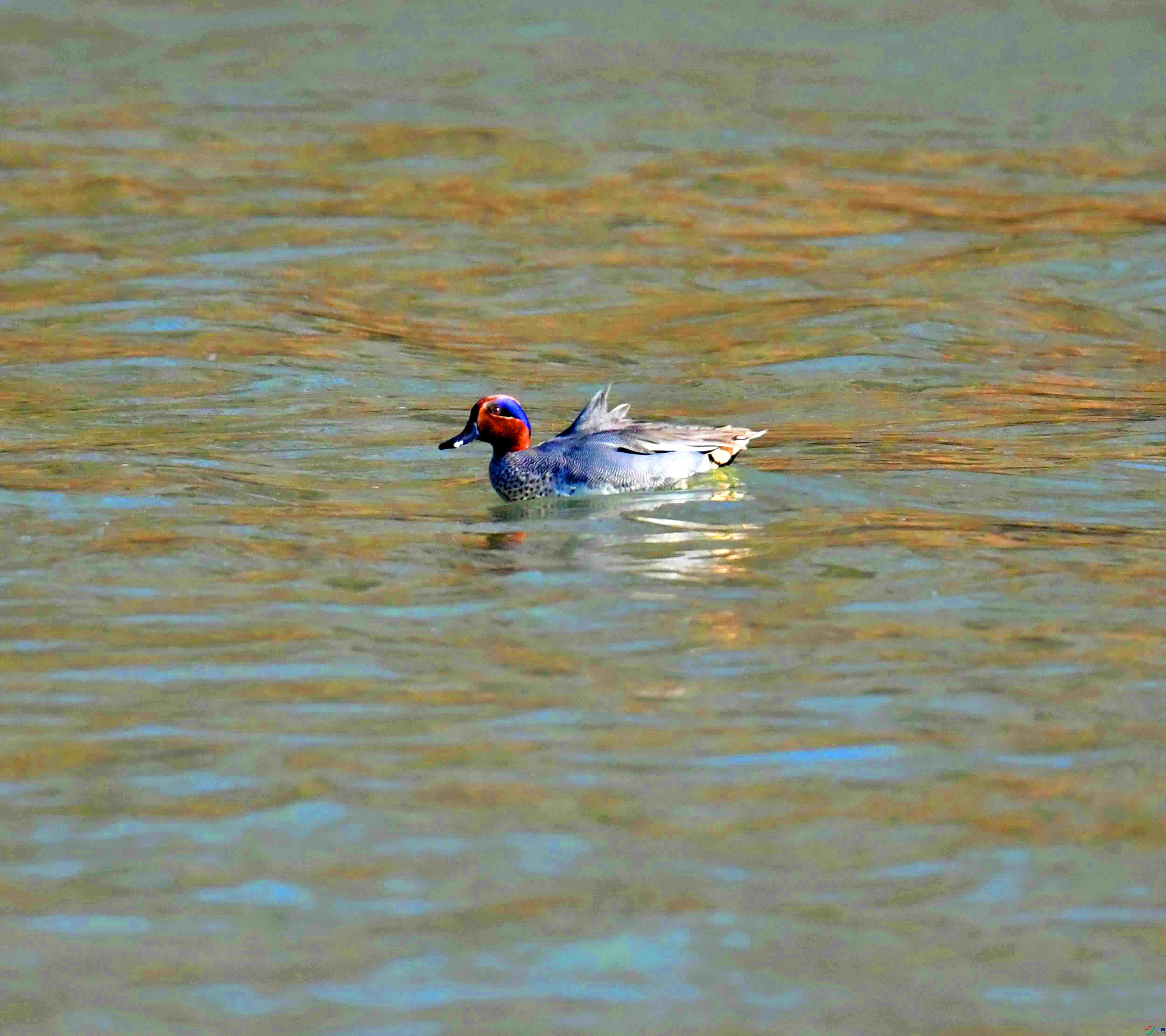 DSC_0166.JPG
