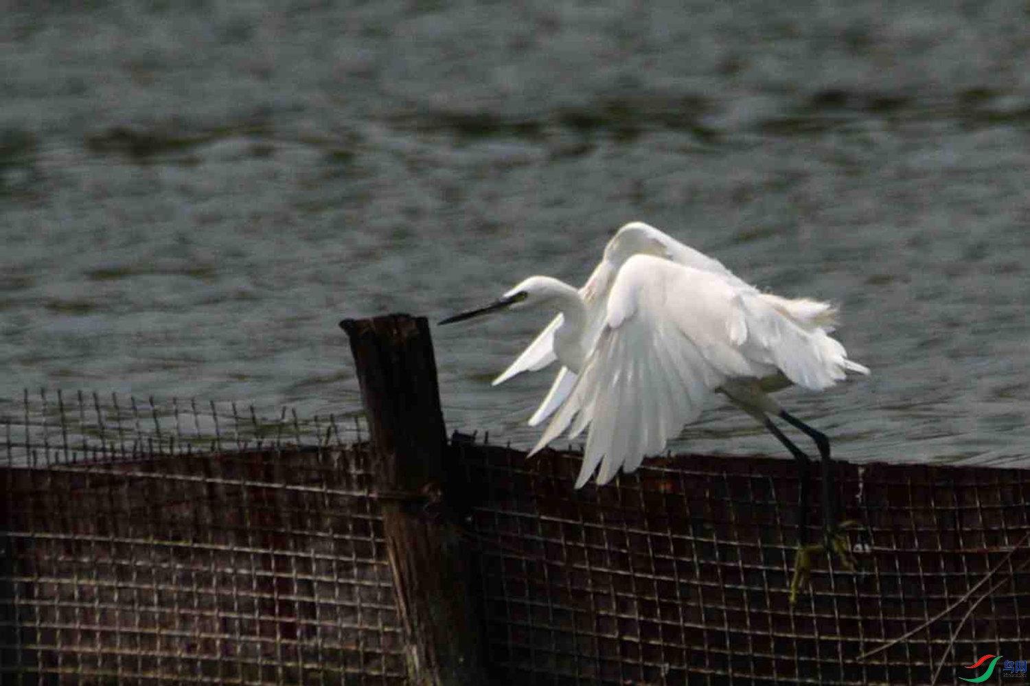 DSC_5855.JPG