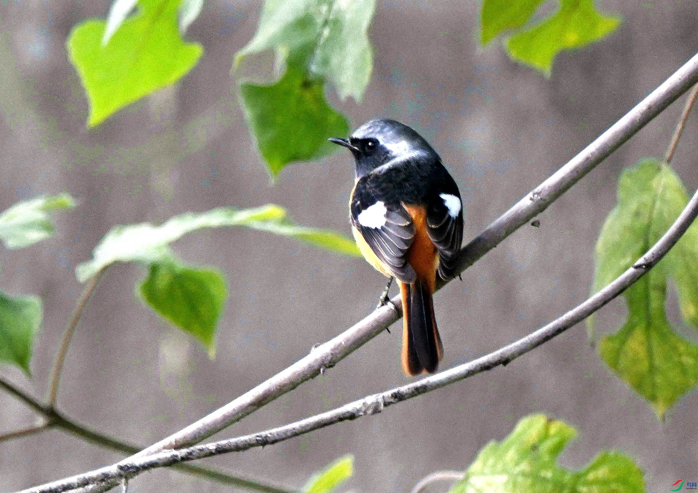 DSC_7007.jpg