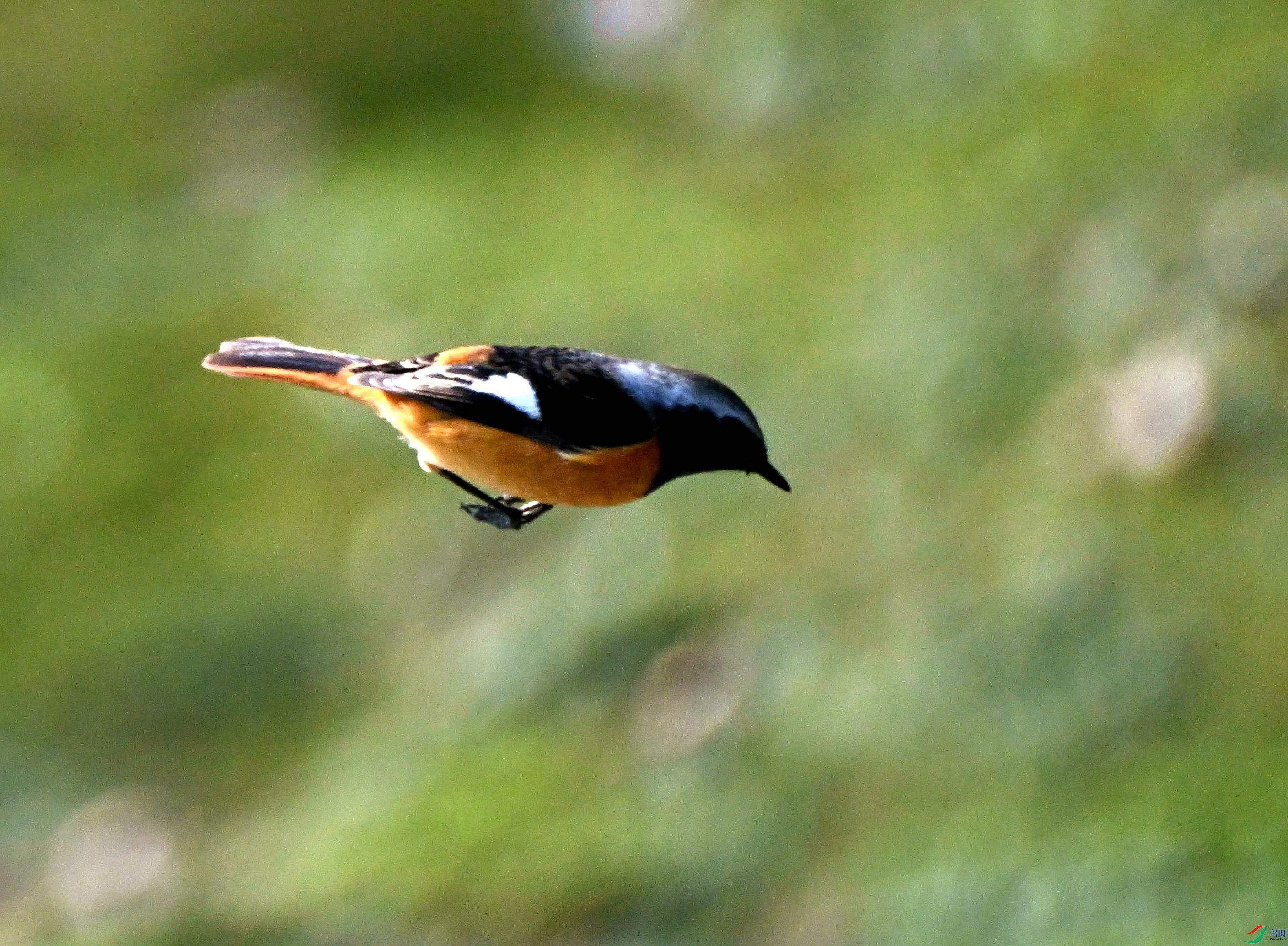 DSC_3639.jpg