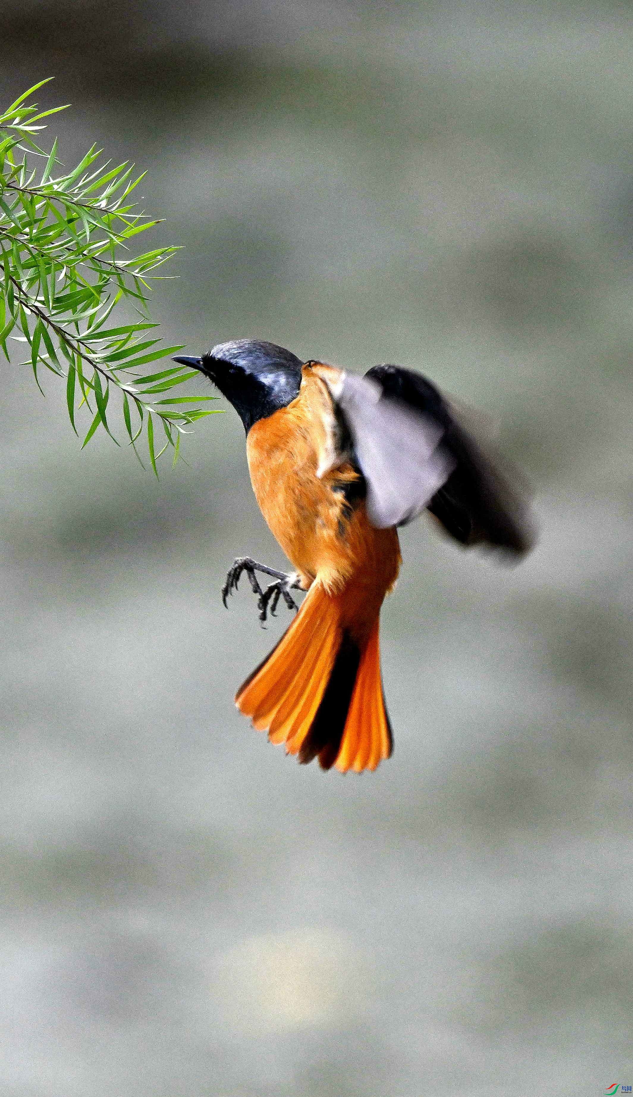 DSC_7094.jpg