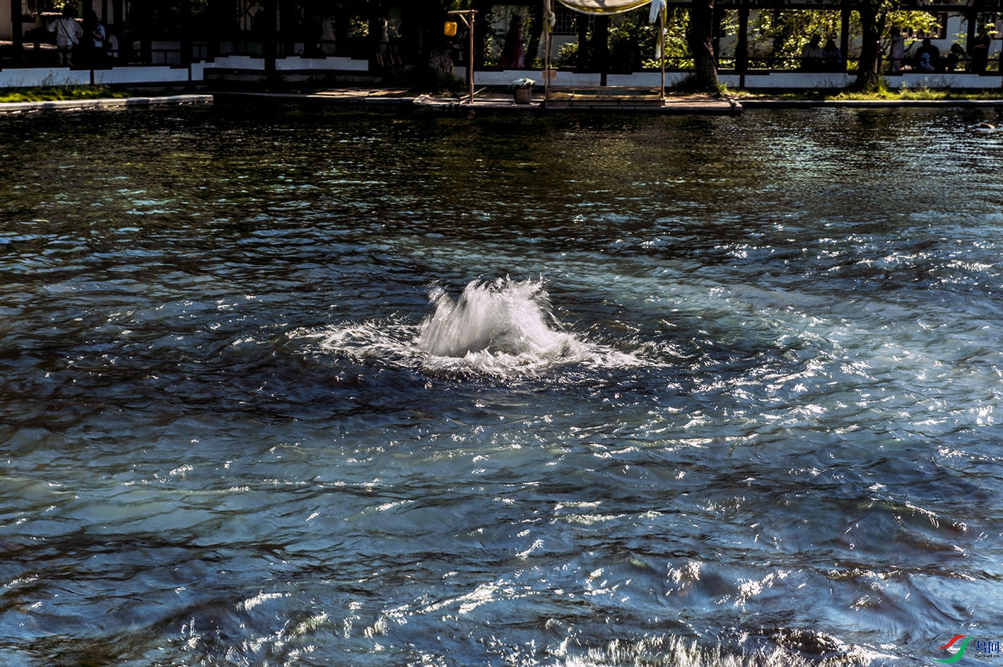 DSC_0743.jpg