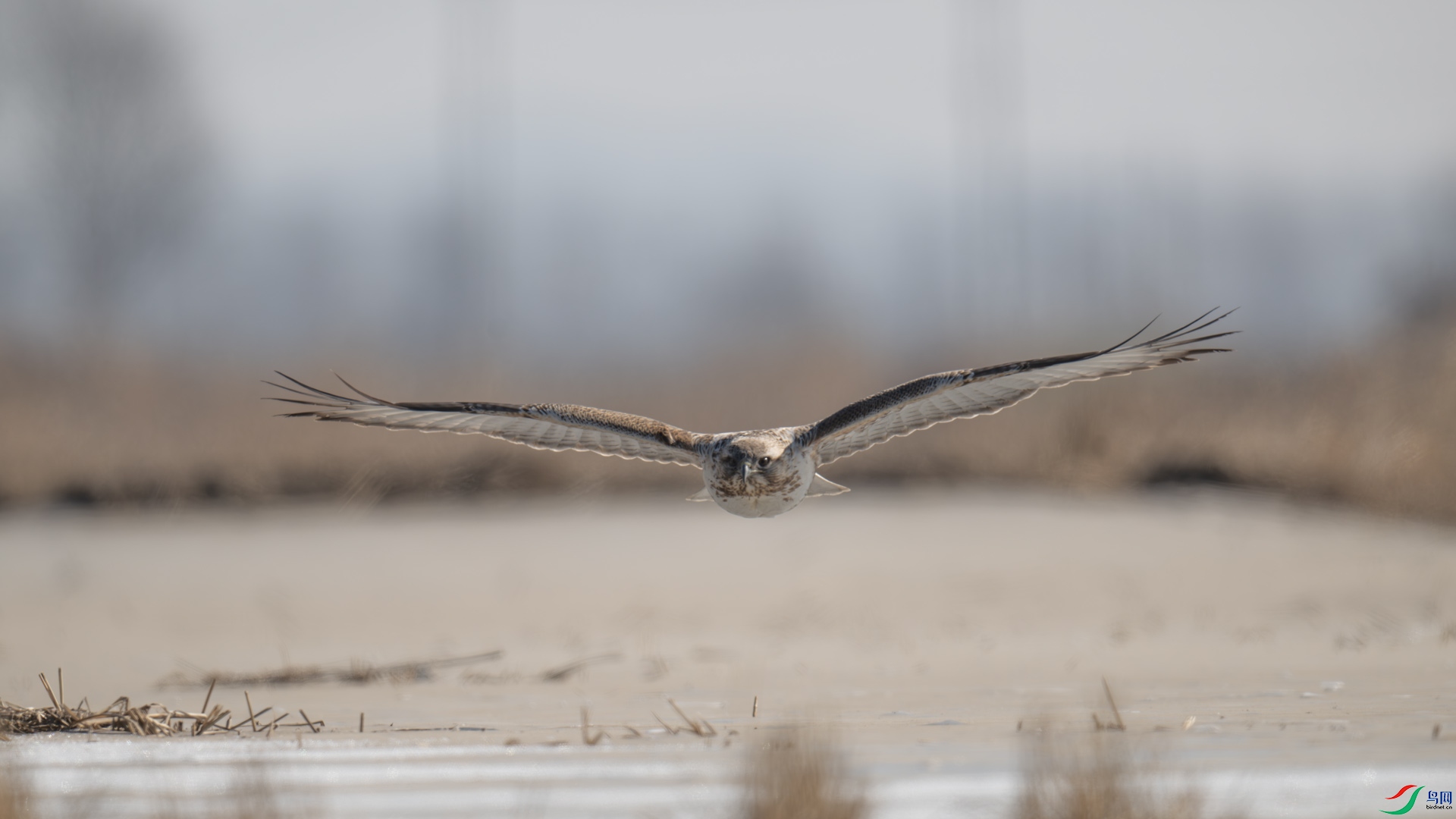 _DSC3590-����ǿ-NR-1x3.jpg