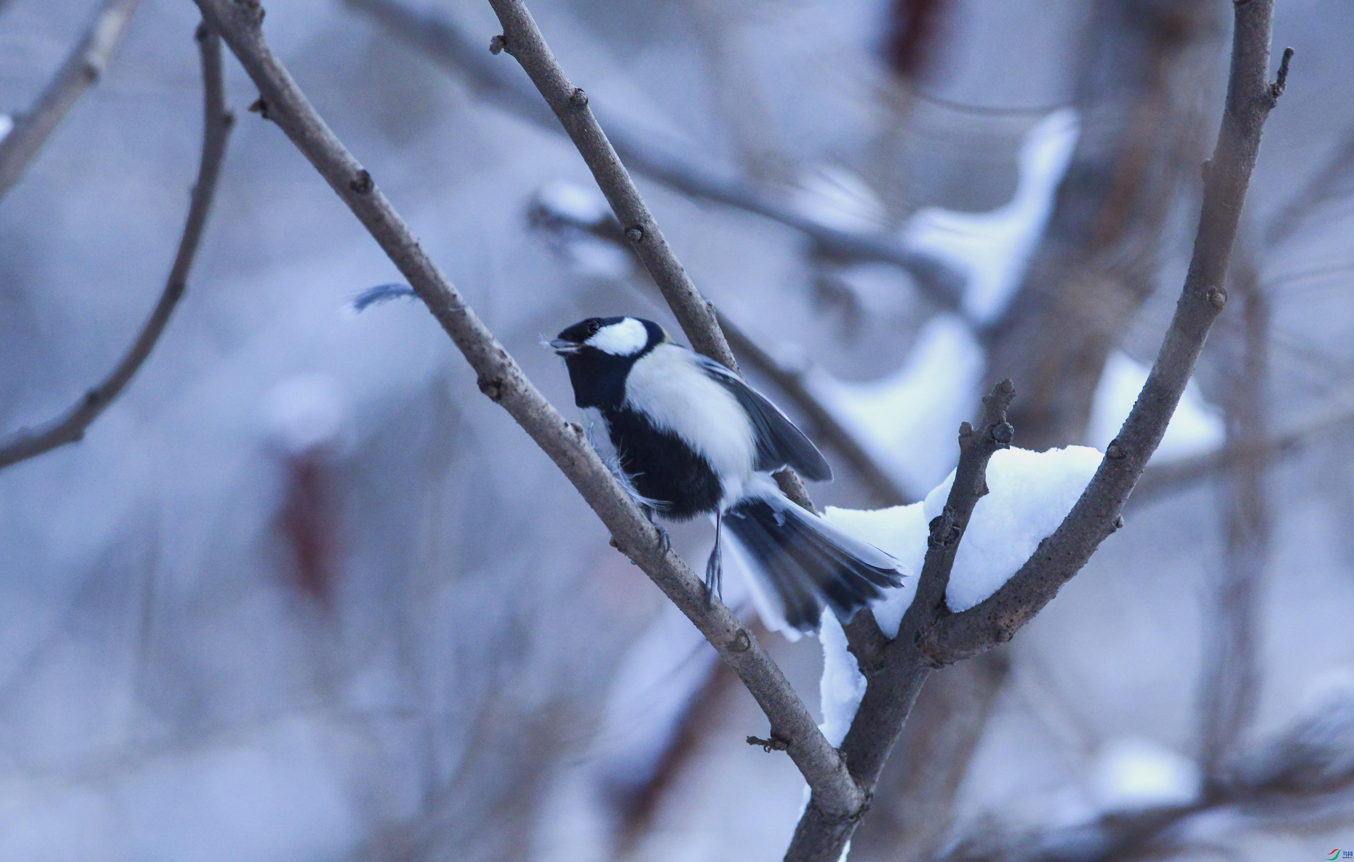 DSC_3347.jpg