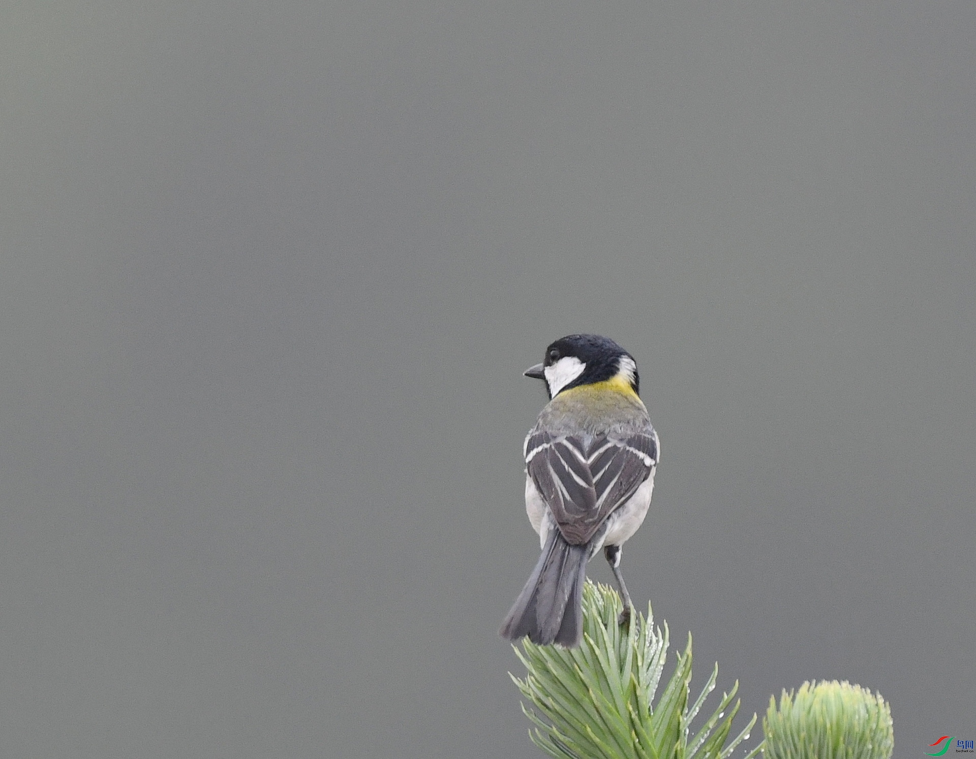 DSC_0434.jpg