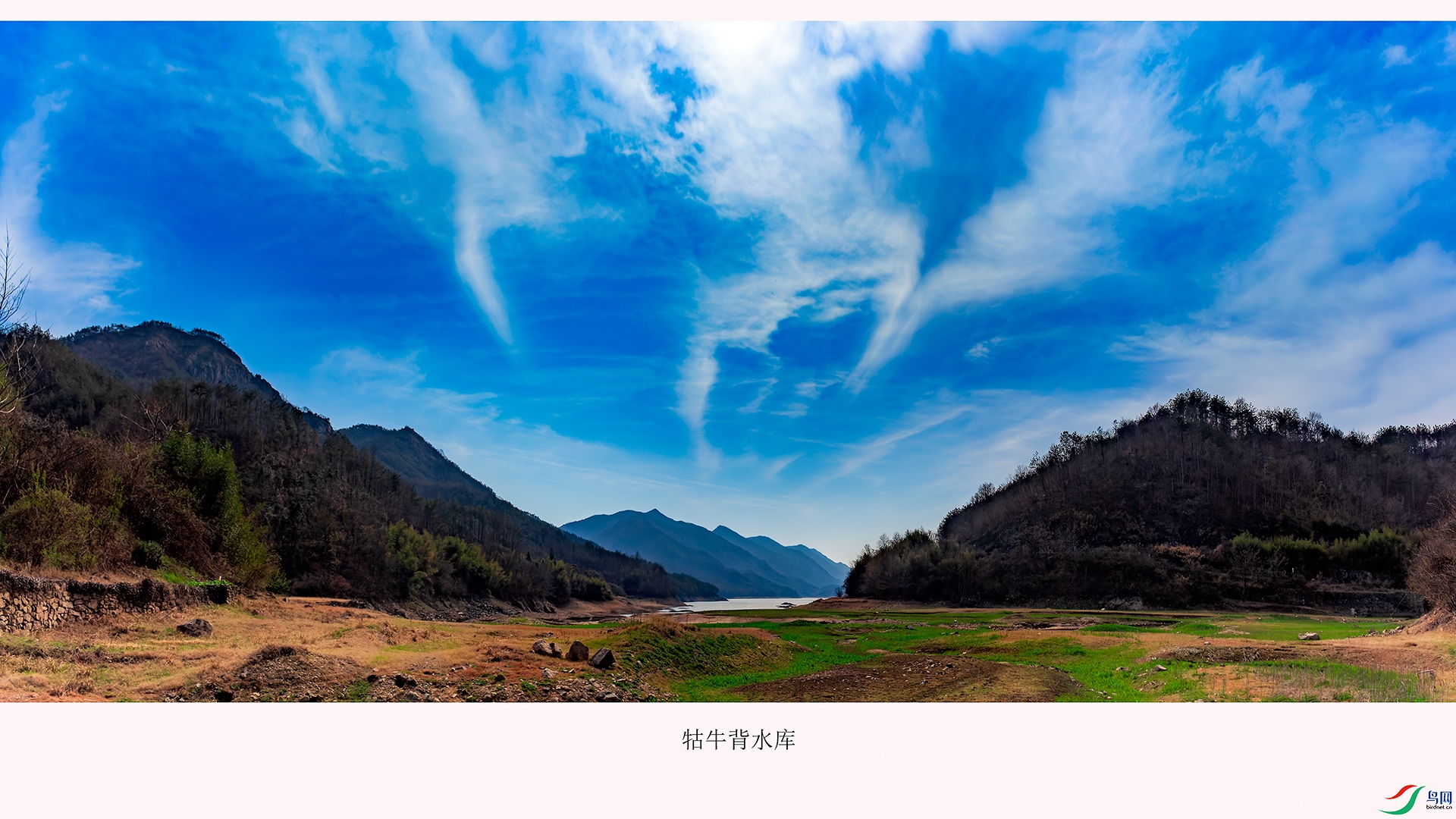 _MG_7894a.jpg