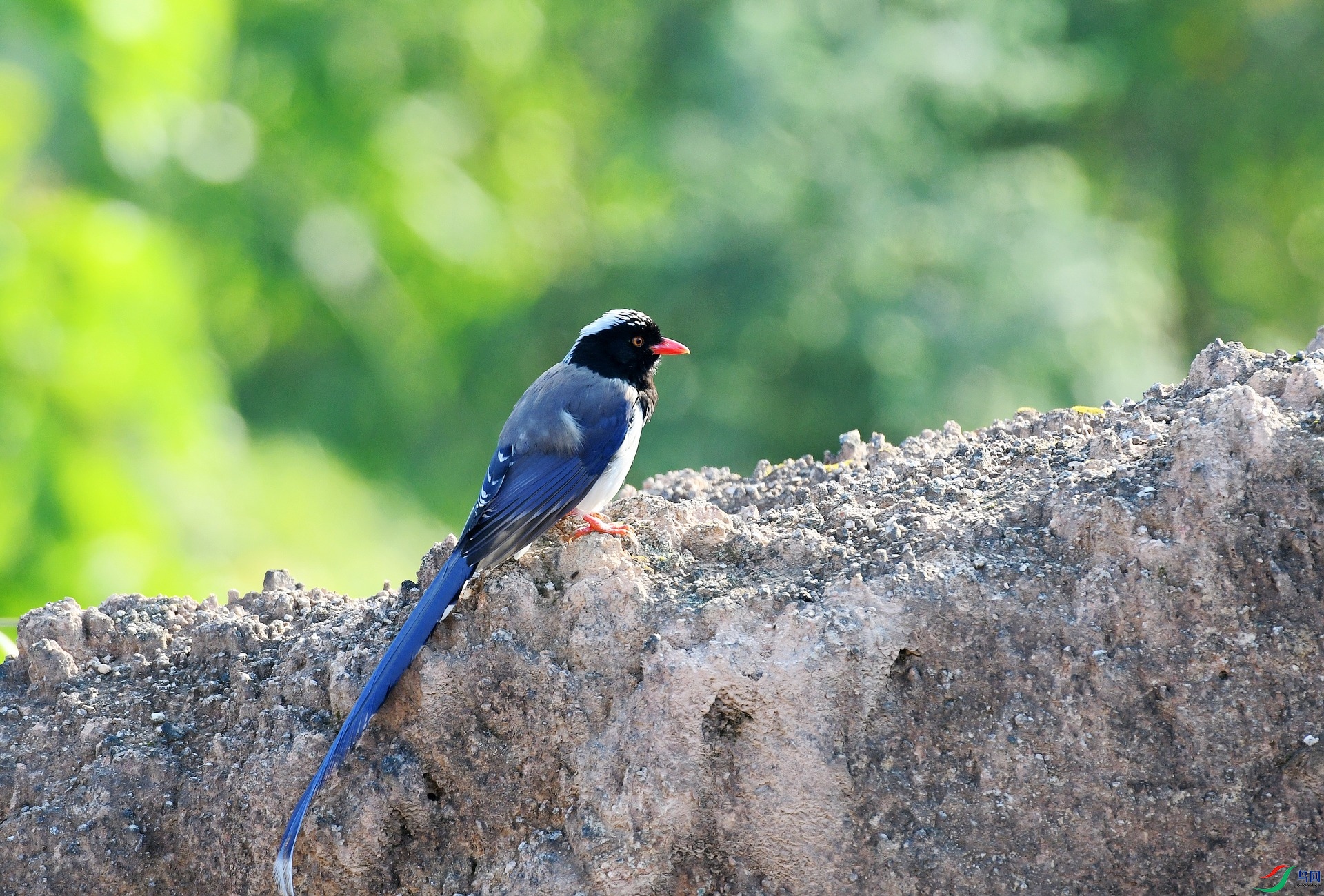 DSC_3170.jpg