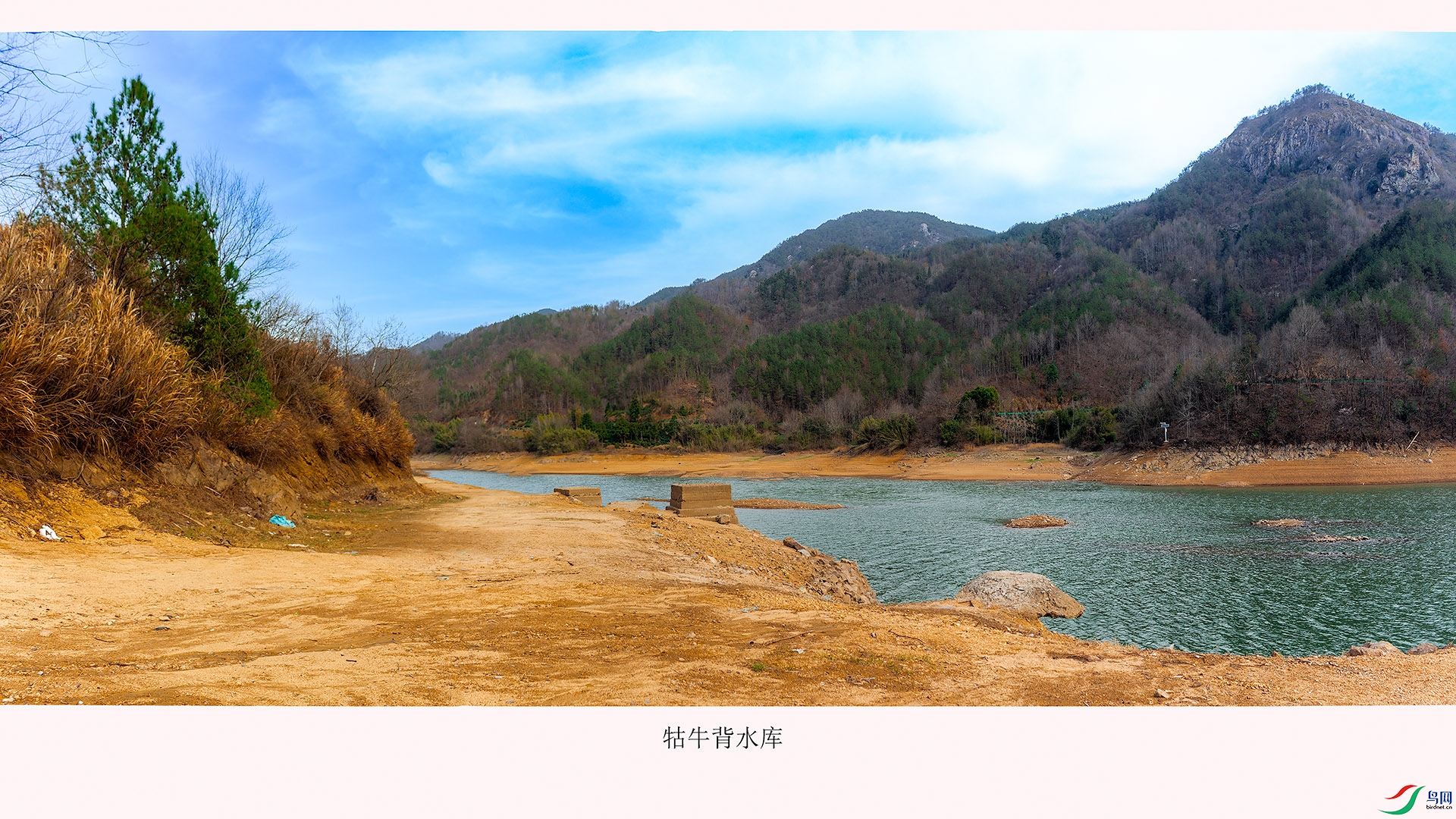 _MG_7926a.jpg