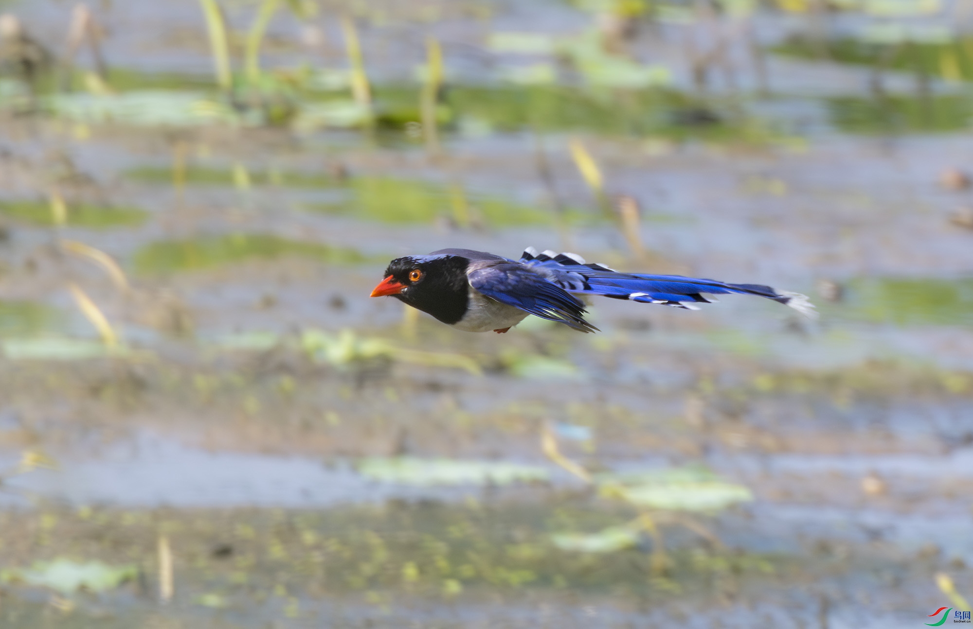 2I1A3318-����ǿ-NR ����.jpg