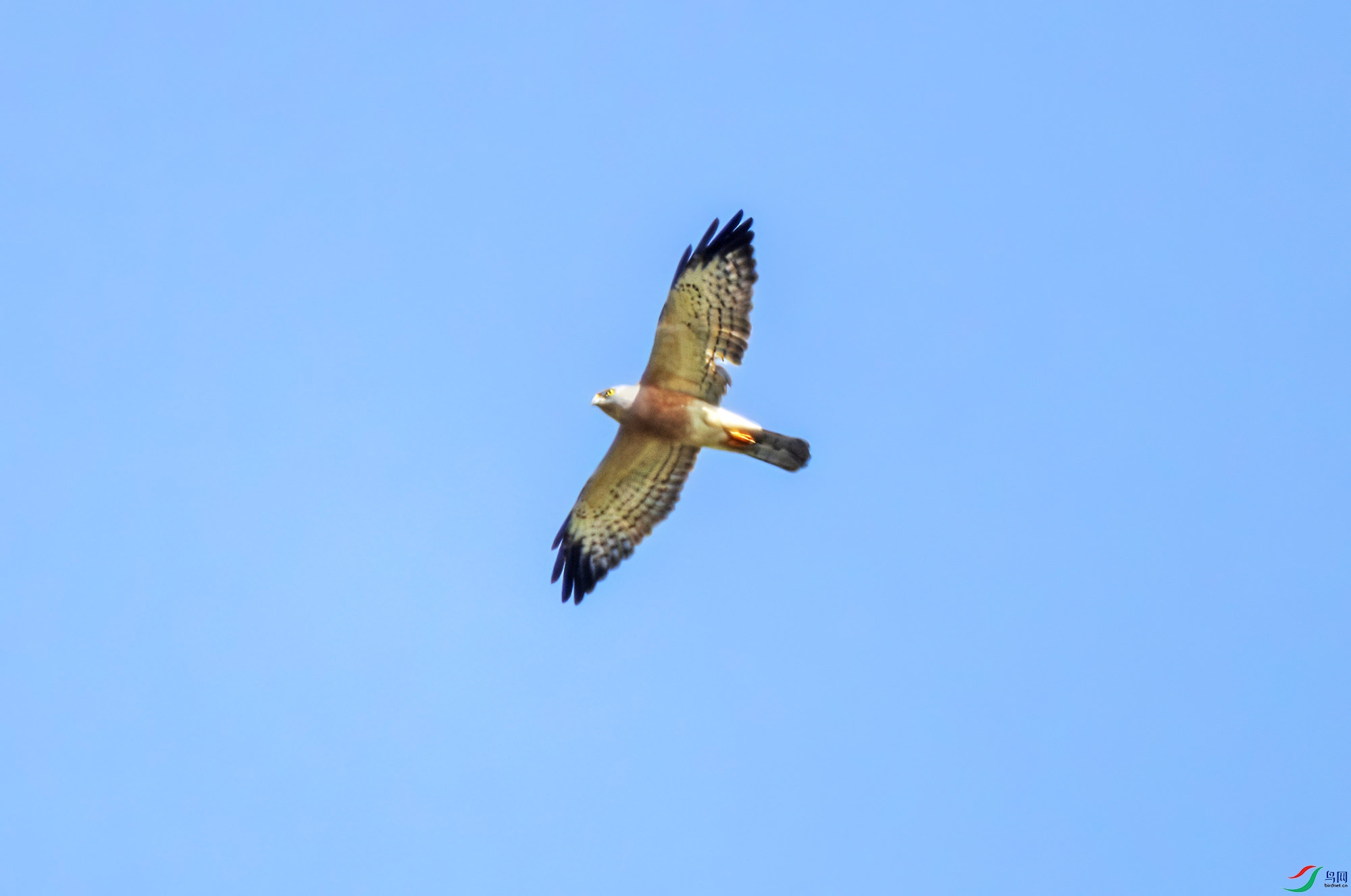 2I1A7648-����ǿ-NR ���� 2.jpg