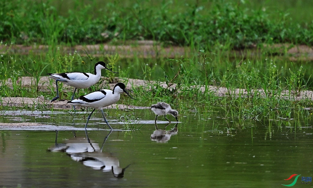 DSC_6230.JPG