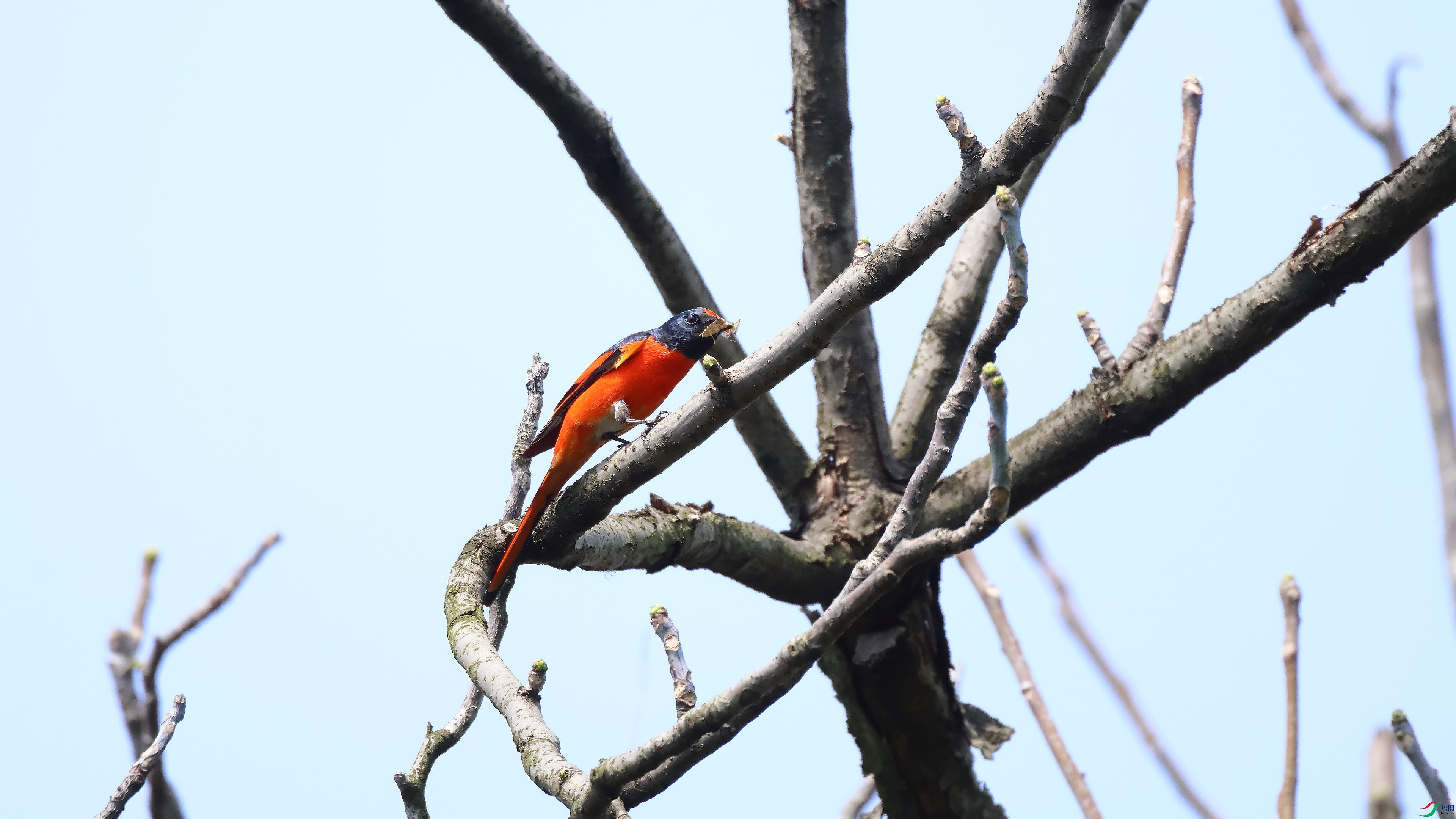 IMG_2613.JPG