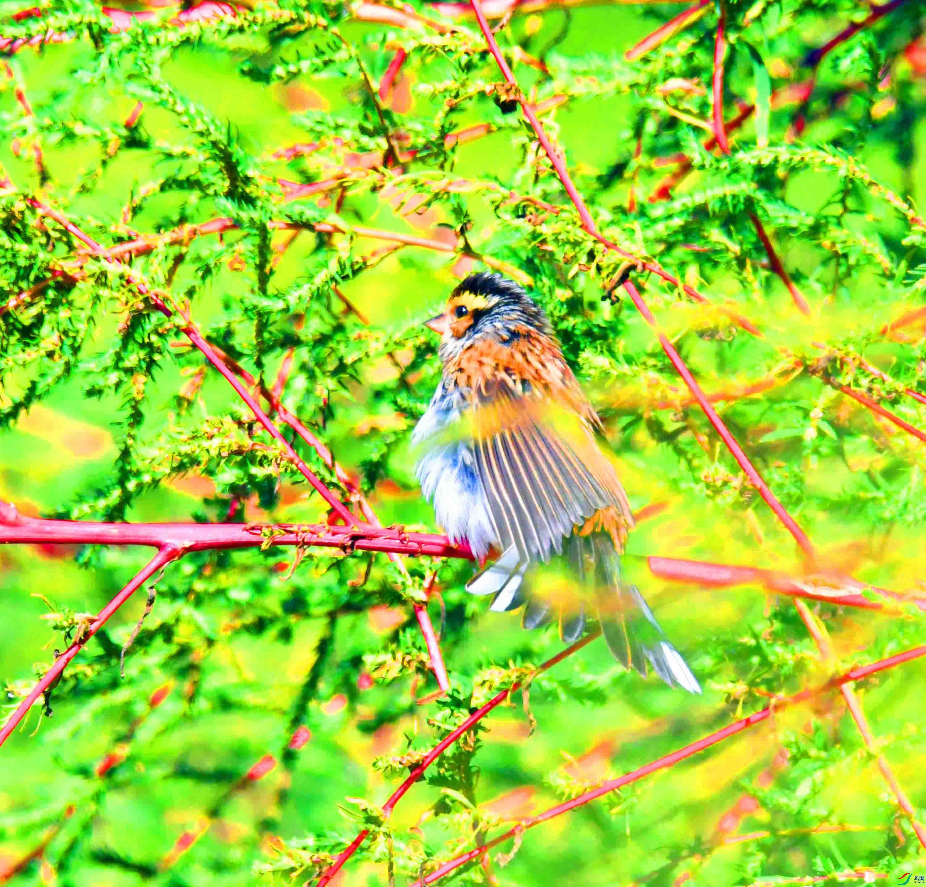 DSC_0810.JPG