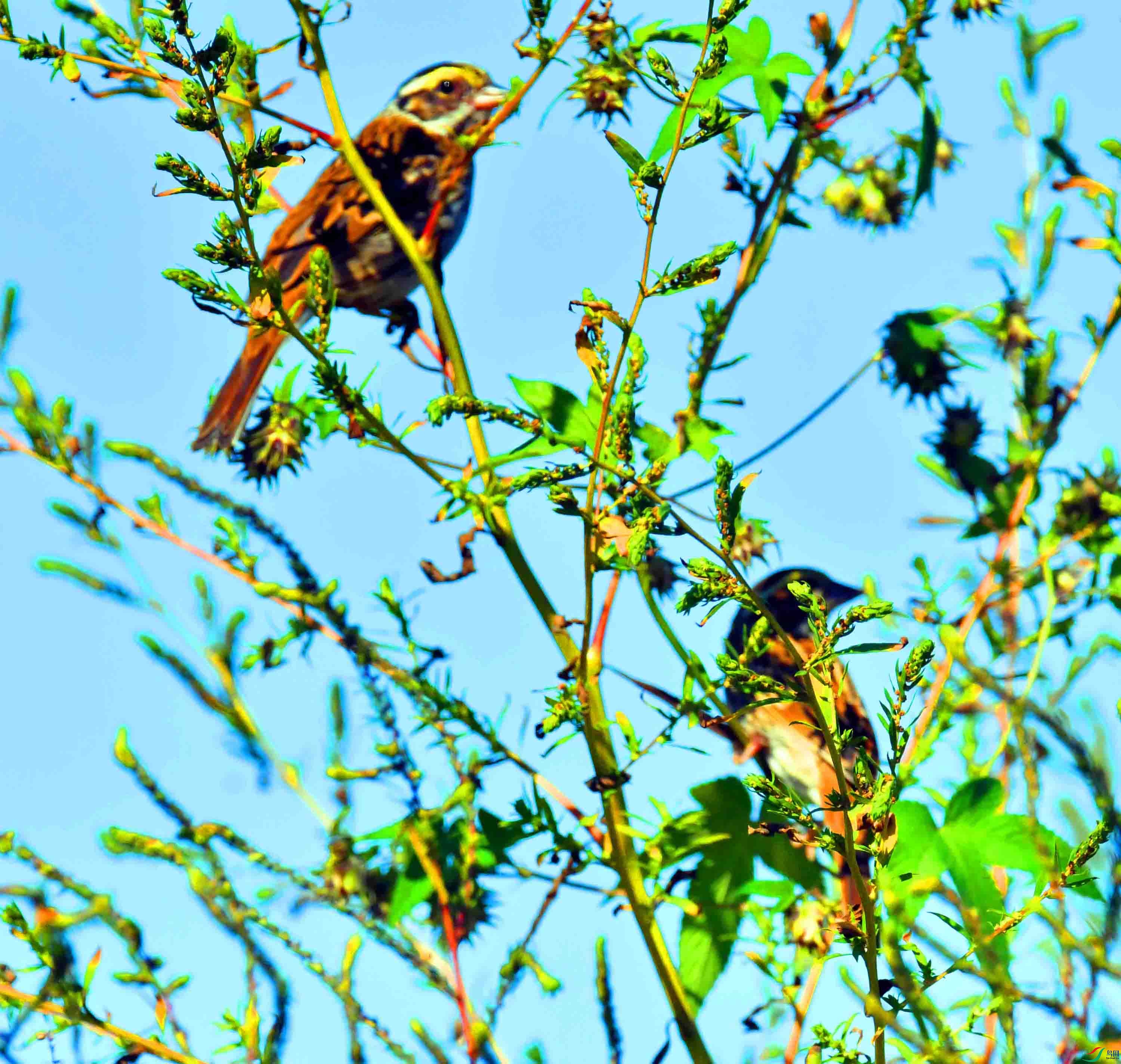 DSC_0876.JPG