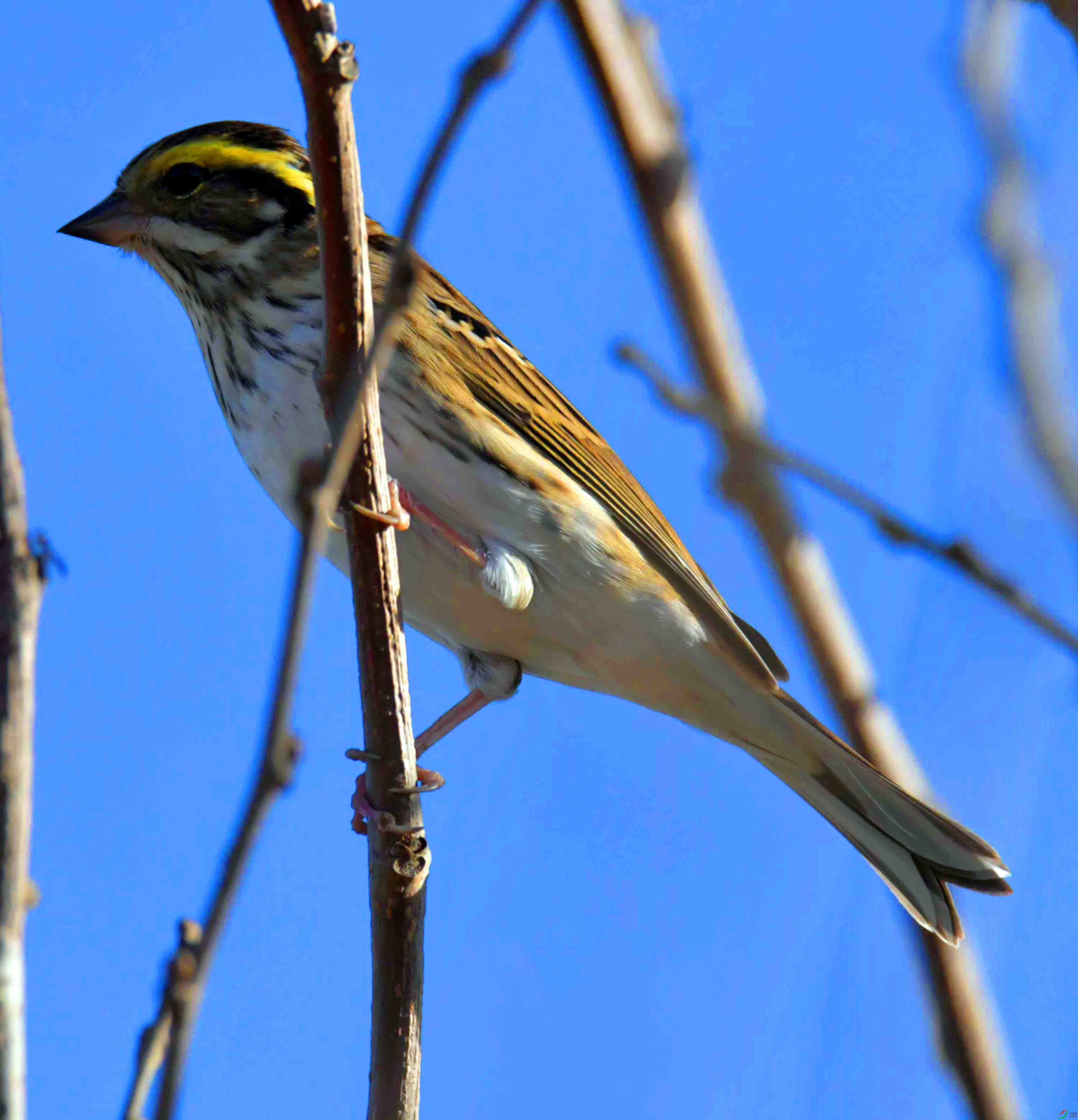 DSC_2090.JPG