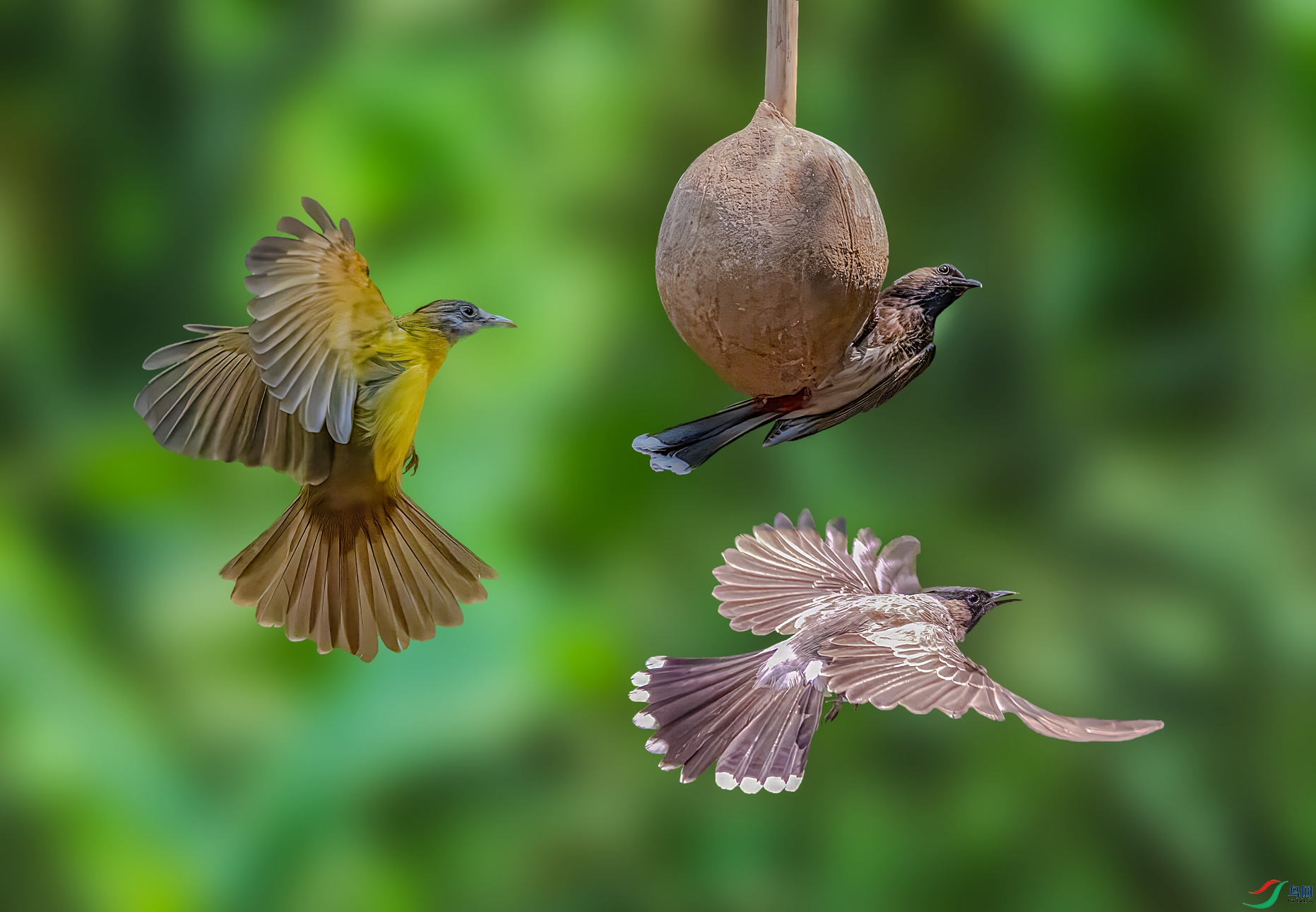 Χ�Ŵ�������