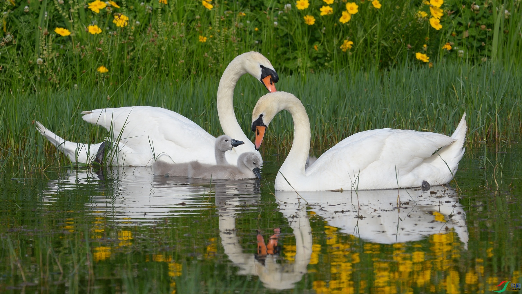 DSC_7491.JPG