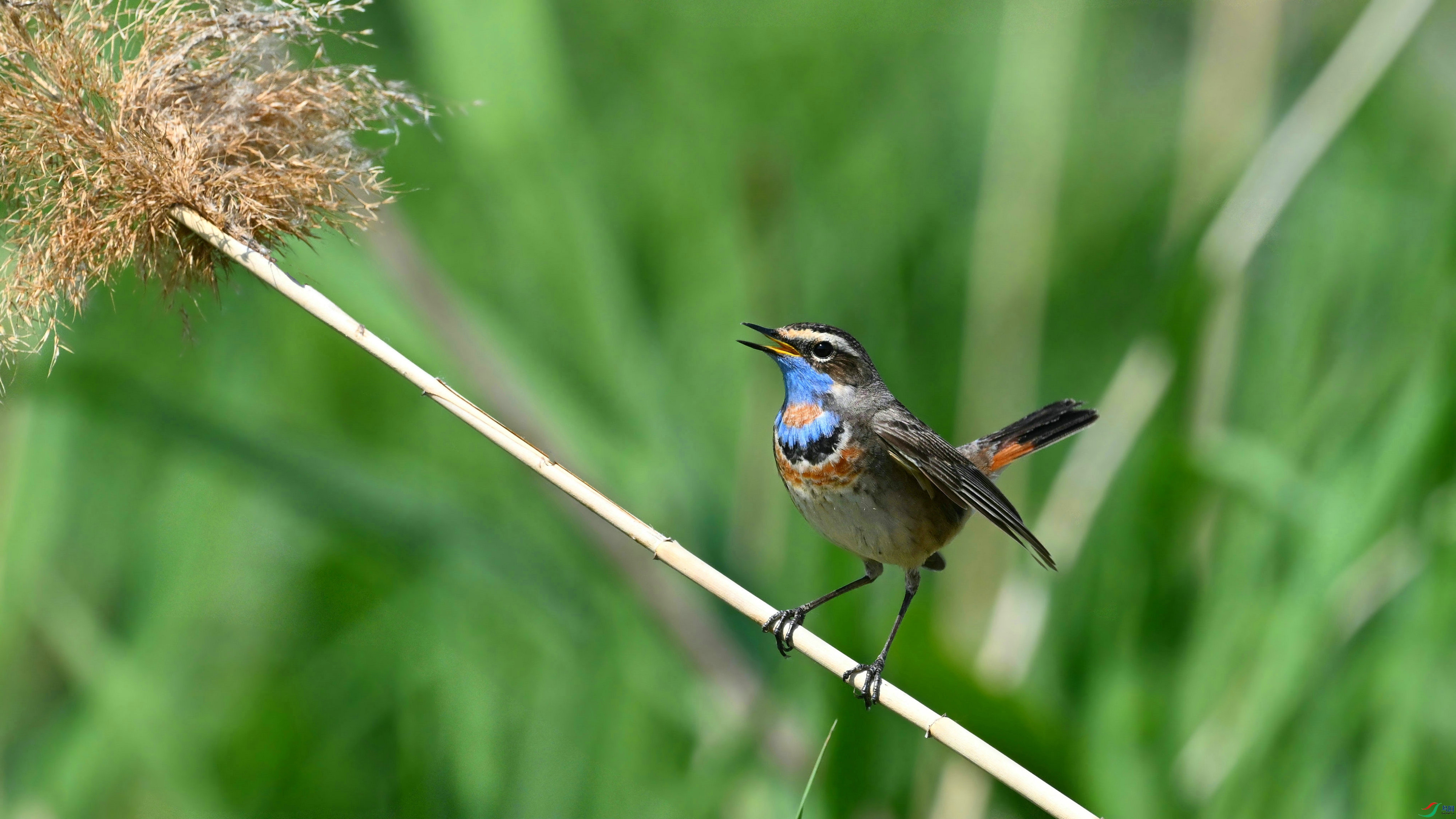 DSC_5686.JPG