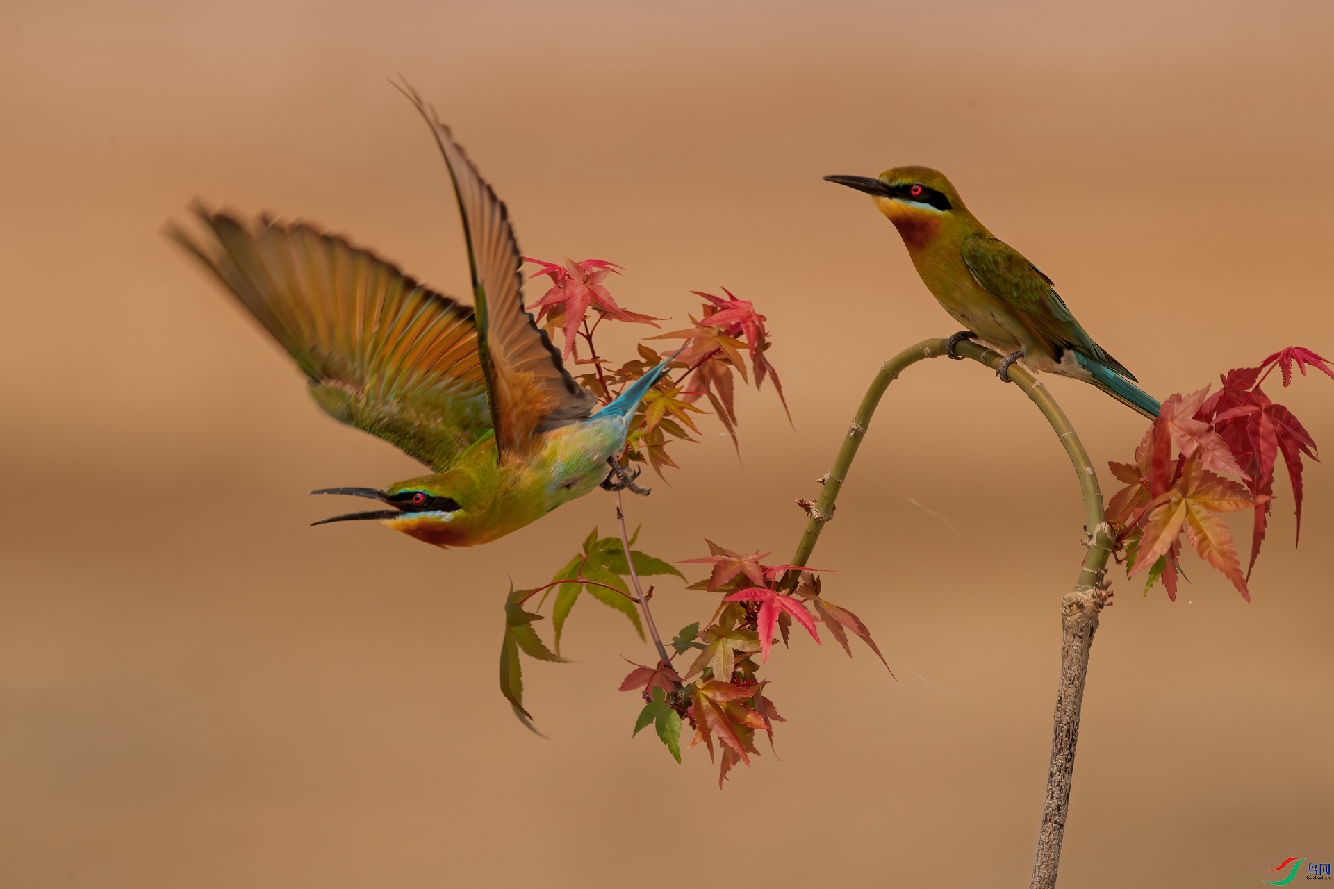 B86I7557 _����.jpg