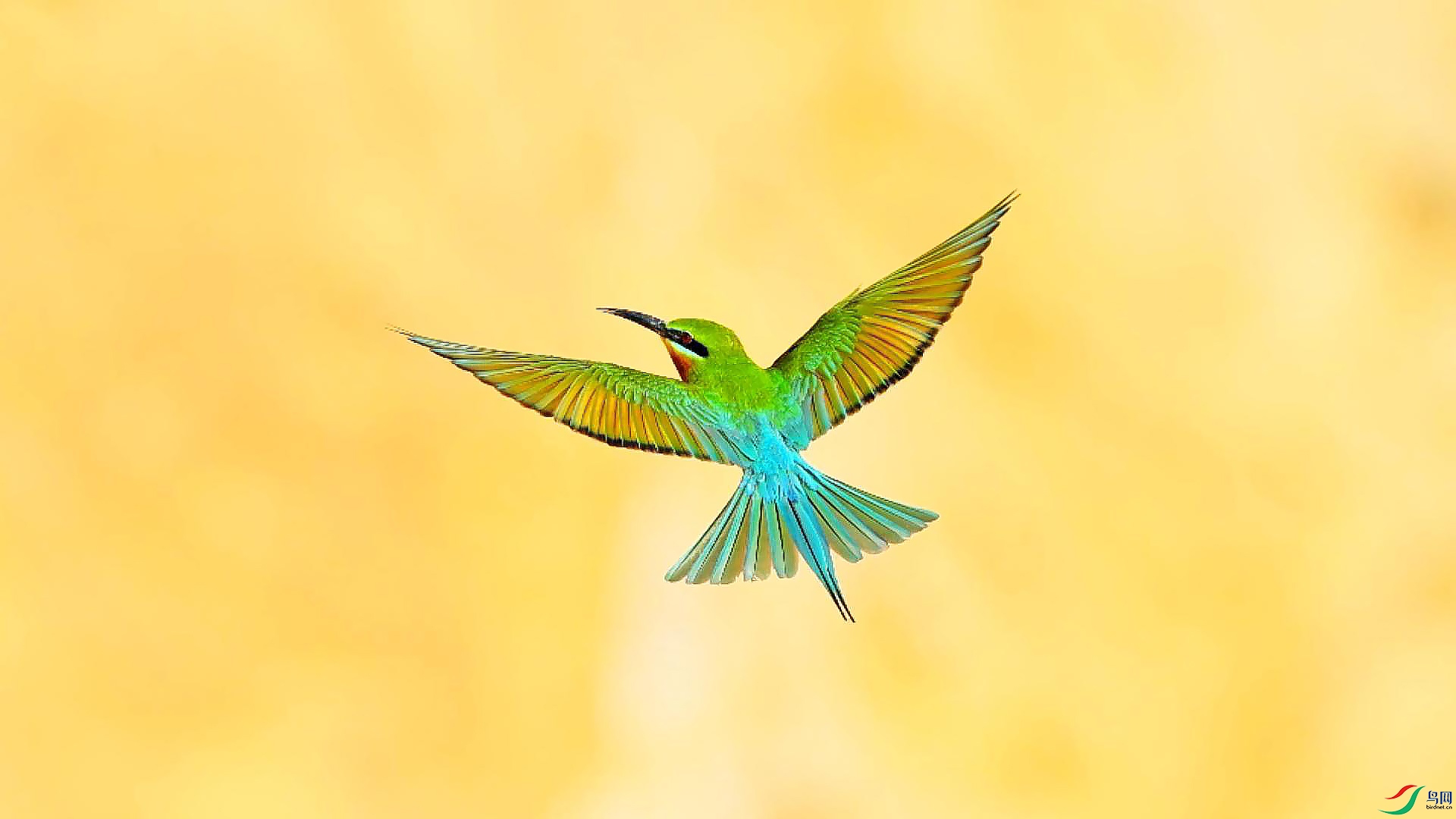 �����仢1080P����-����1.jpg