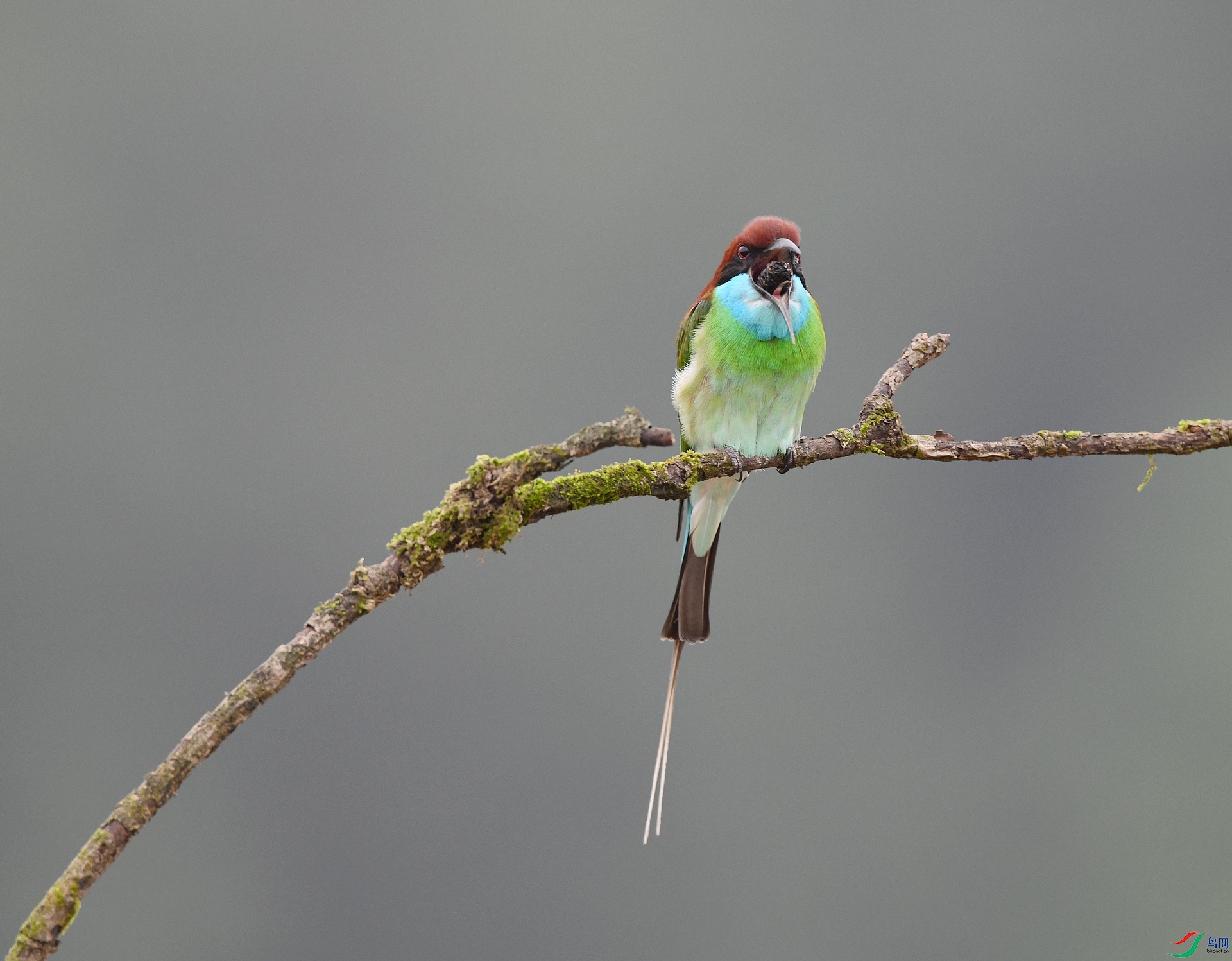 DSC_0765.jpg