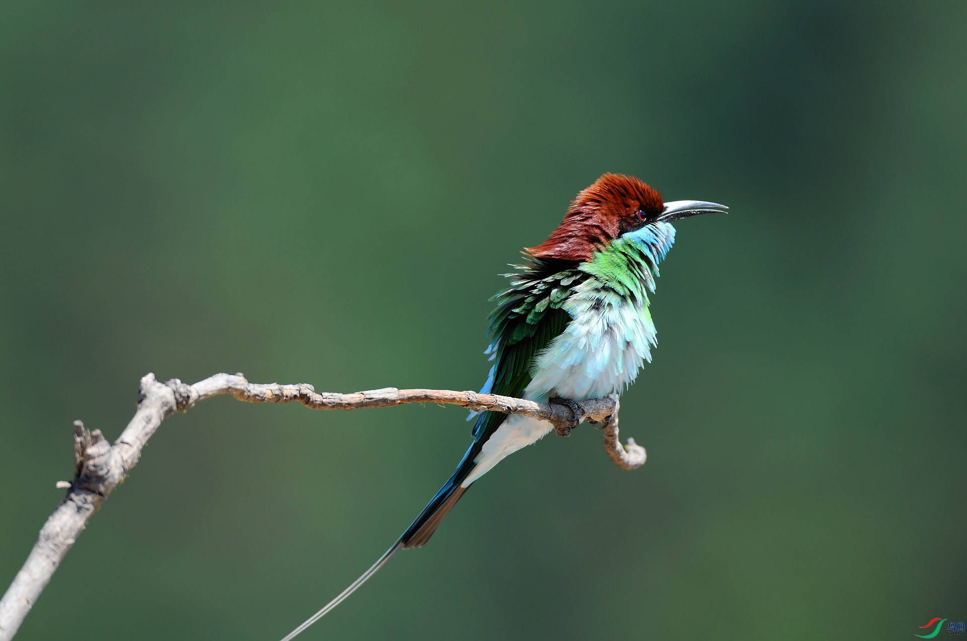 DSC_2174.jpg