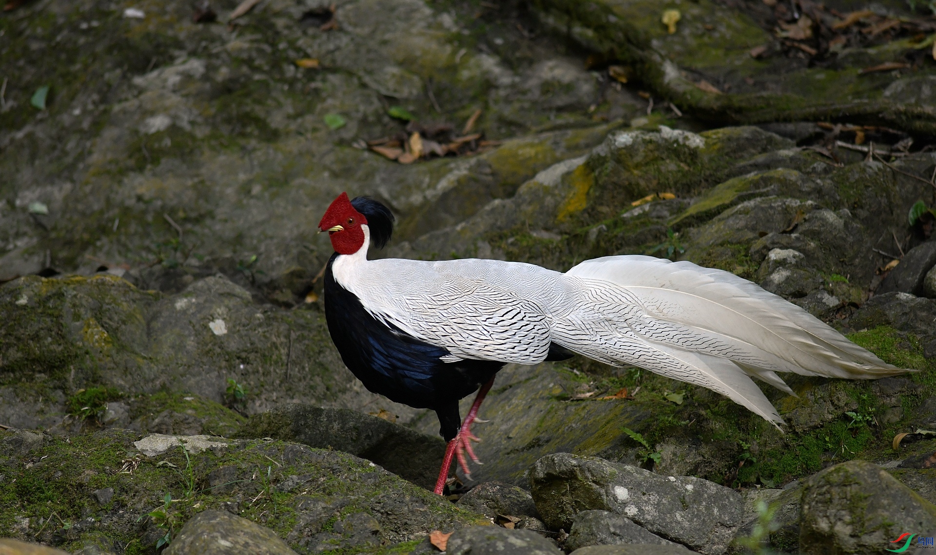 DSC_6629.jpg