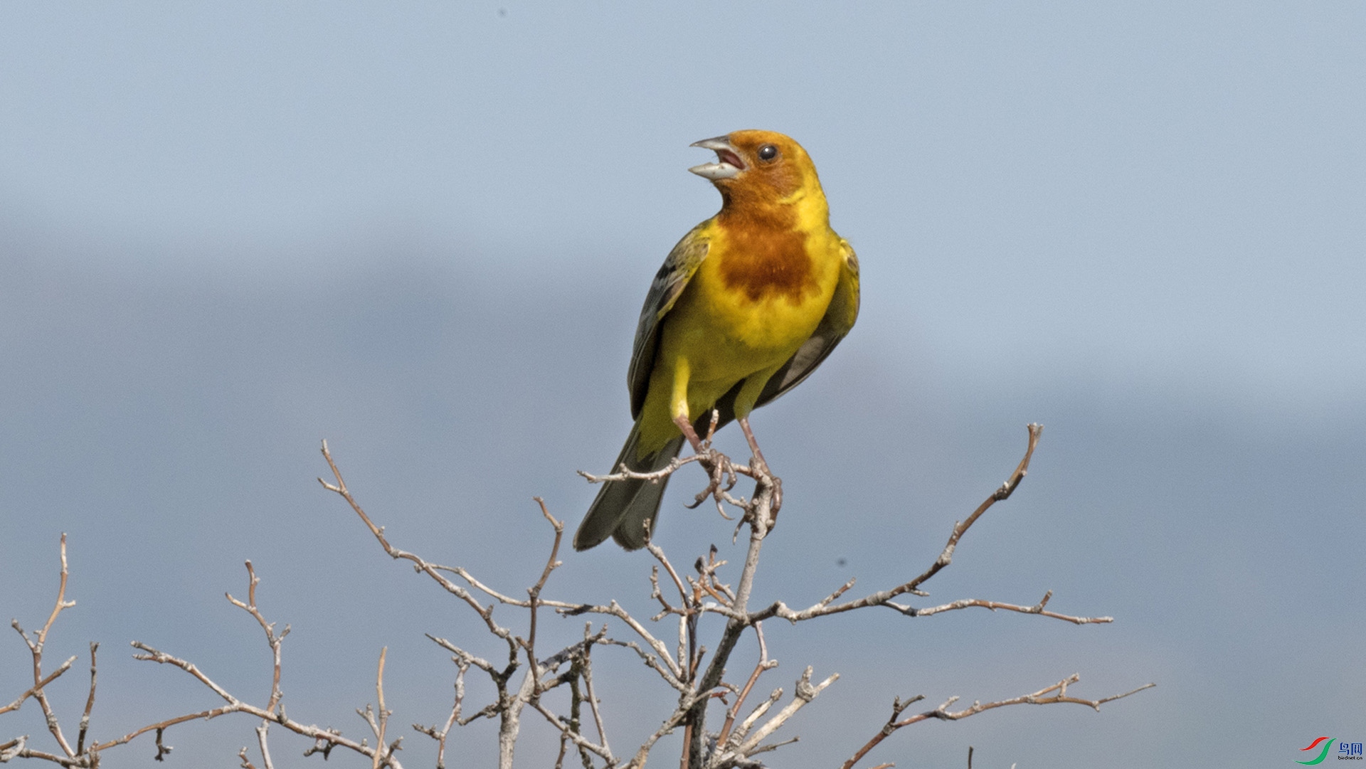 DSC_4887.jpg
