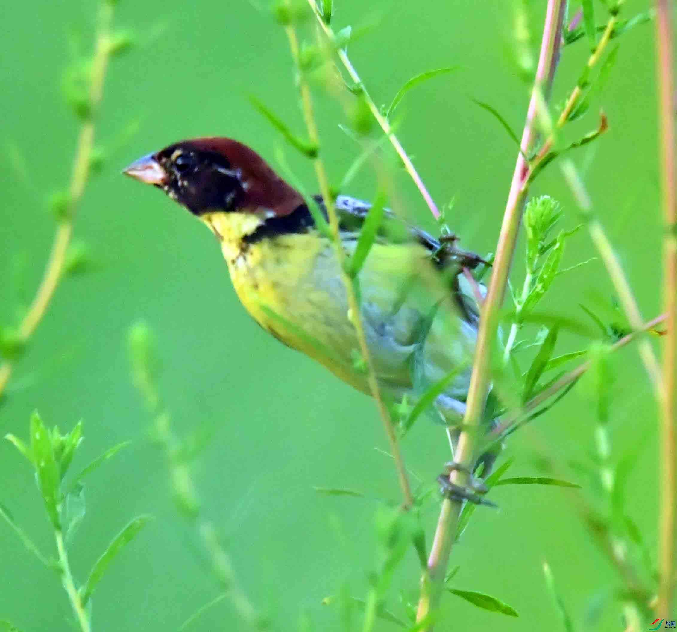 DSC_2664.JPG